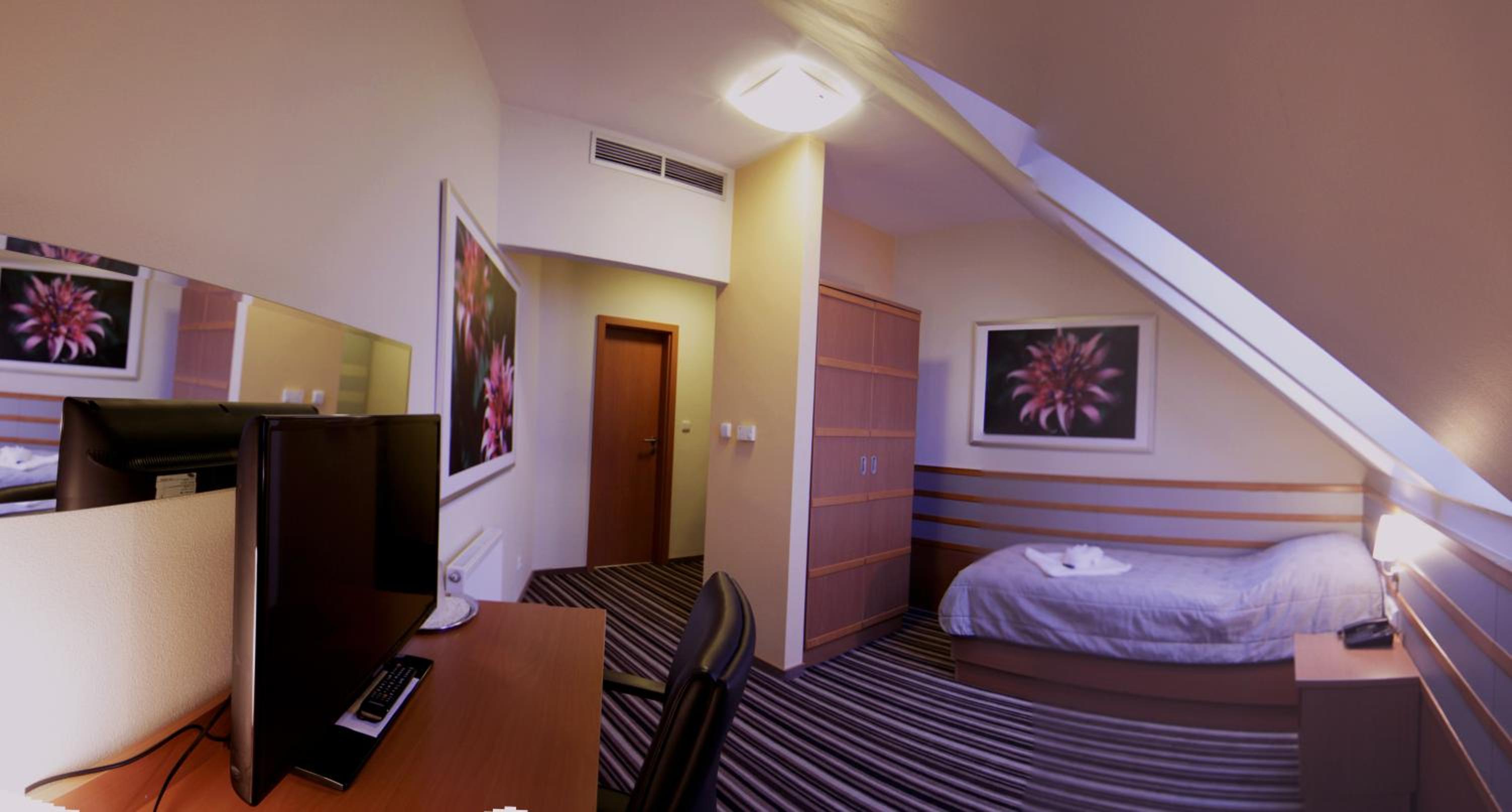 Single Room photo 1