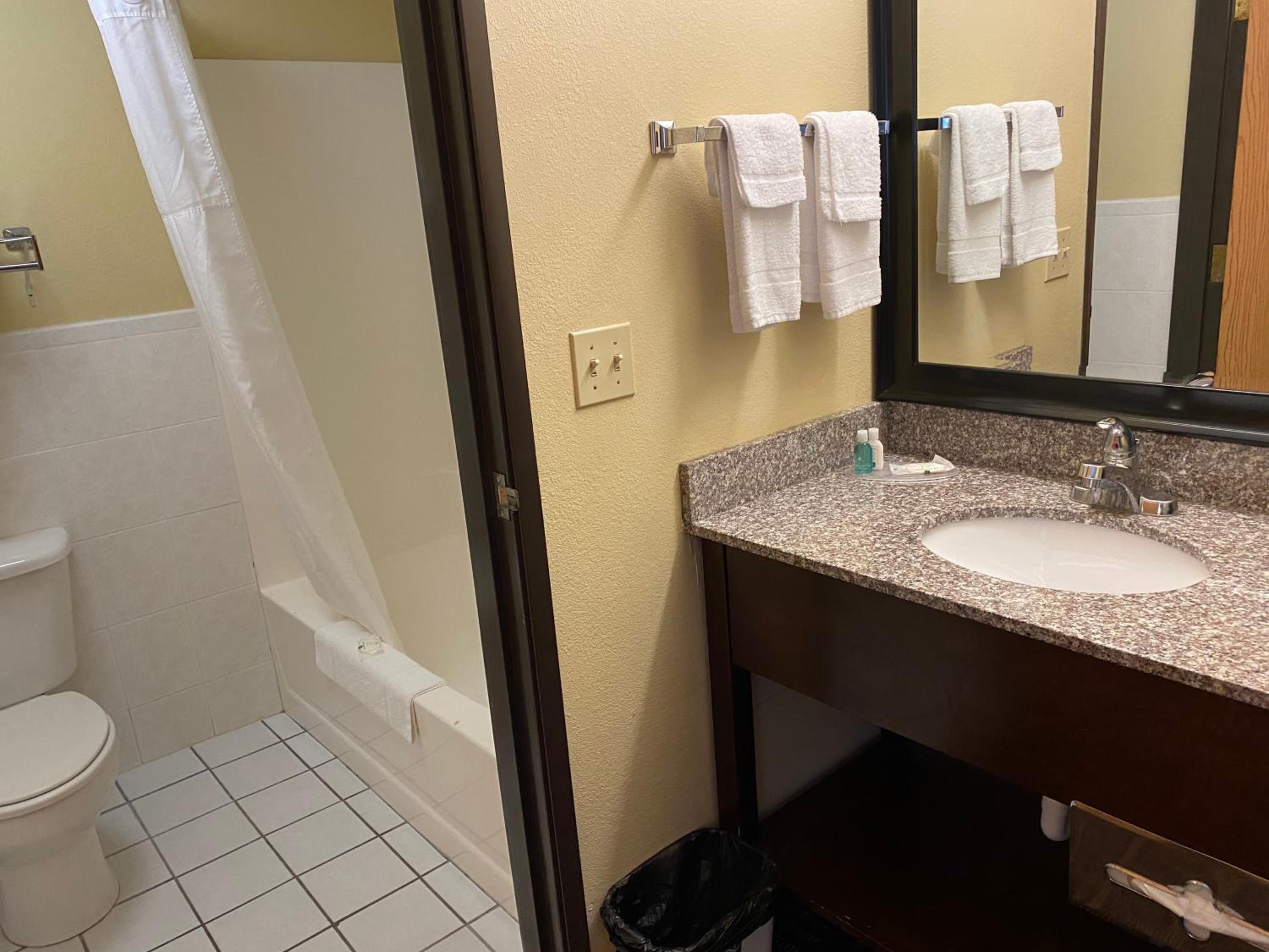 King Suite - Non-Smoking - Photo 4