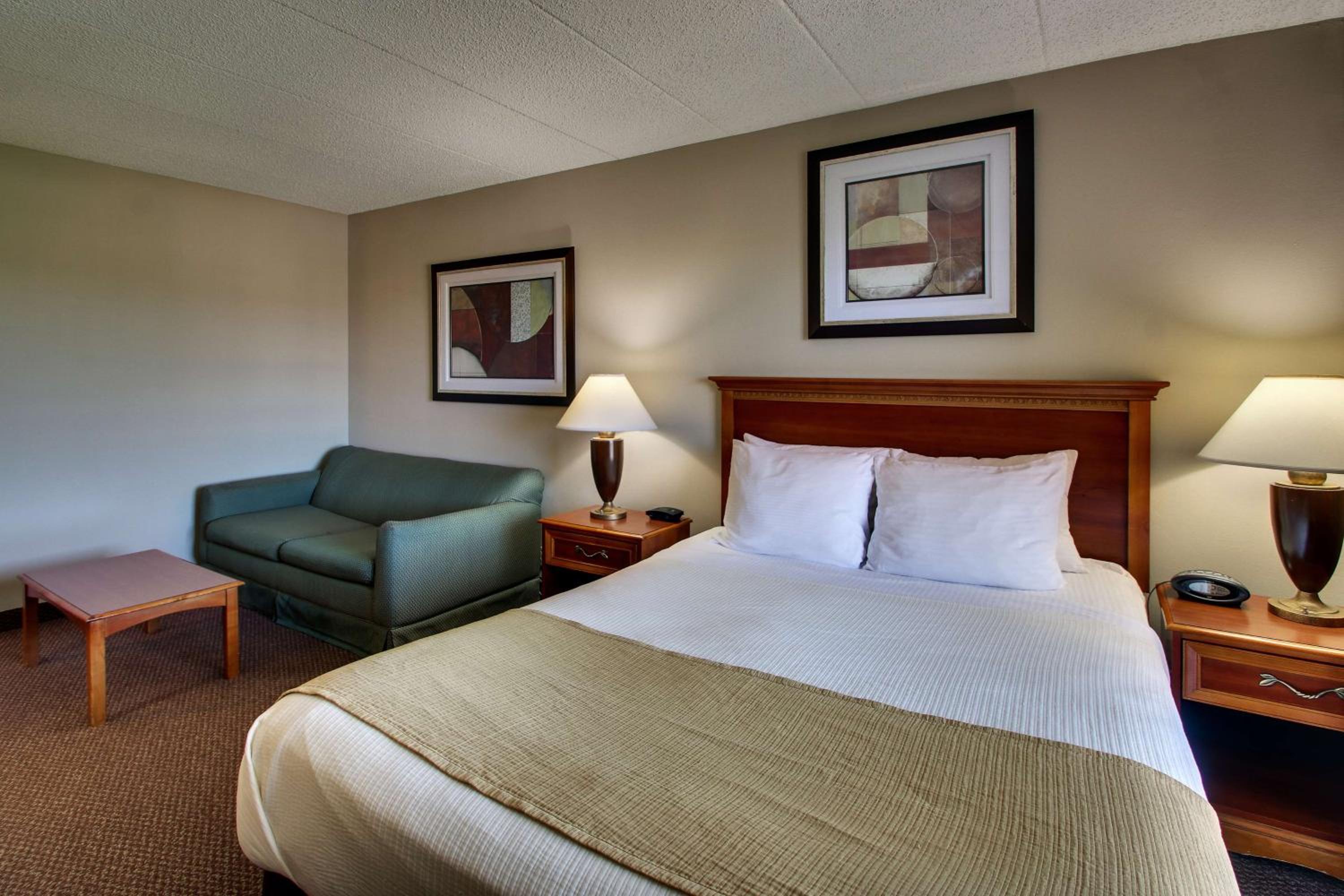Queen Suite with Sofa Bed and Walk-In Shower - Disability Access photo 2