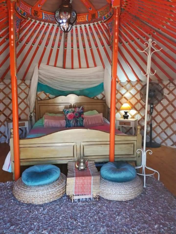 Yurt - Photo 12