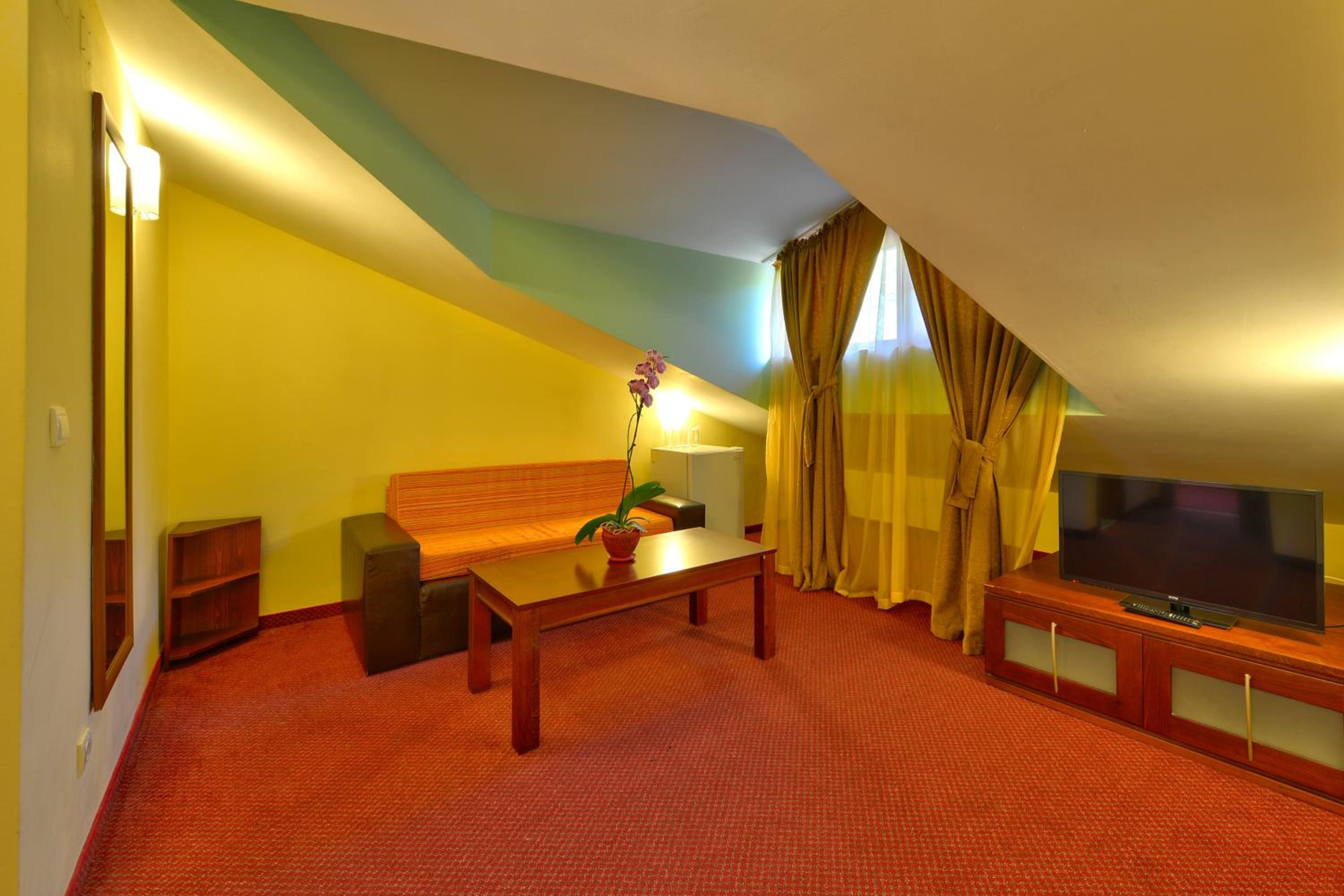 Studio with Sofa Bed photo 1