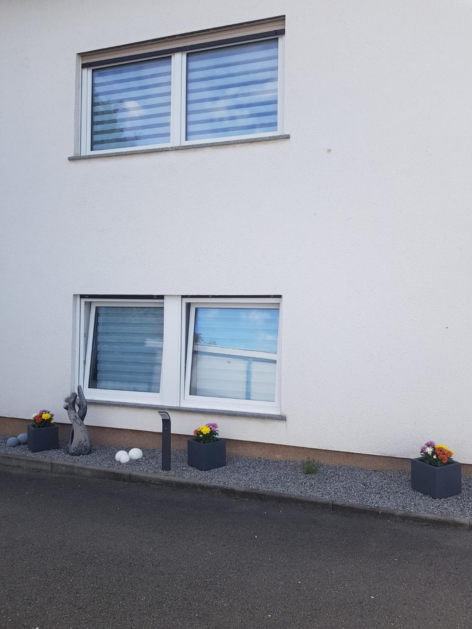 Apartment with Terrace photo 3
