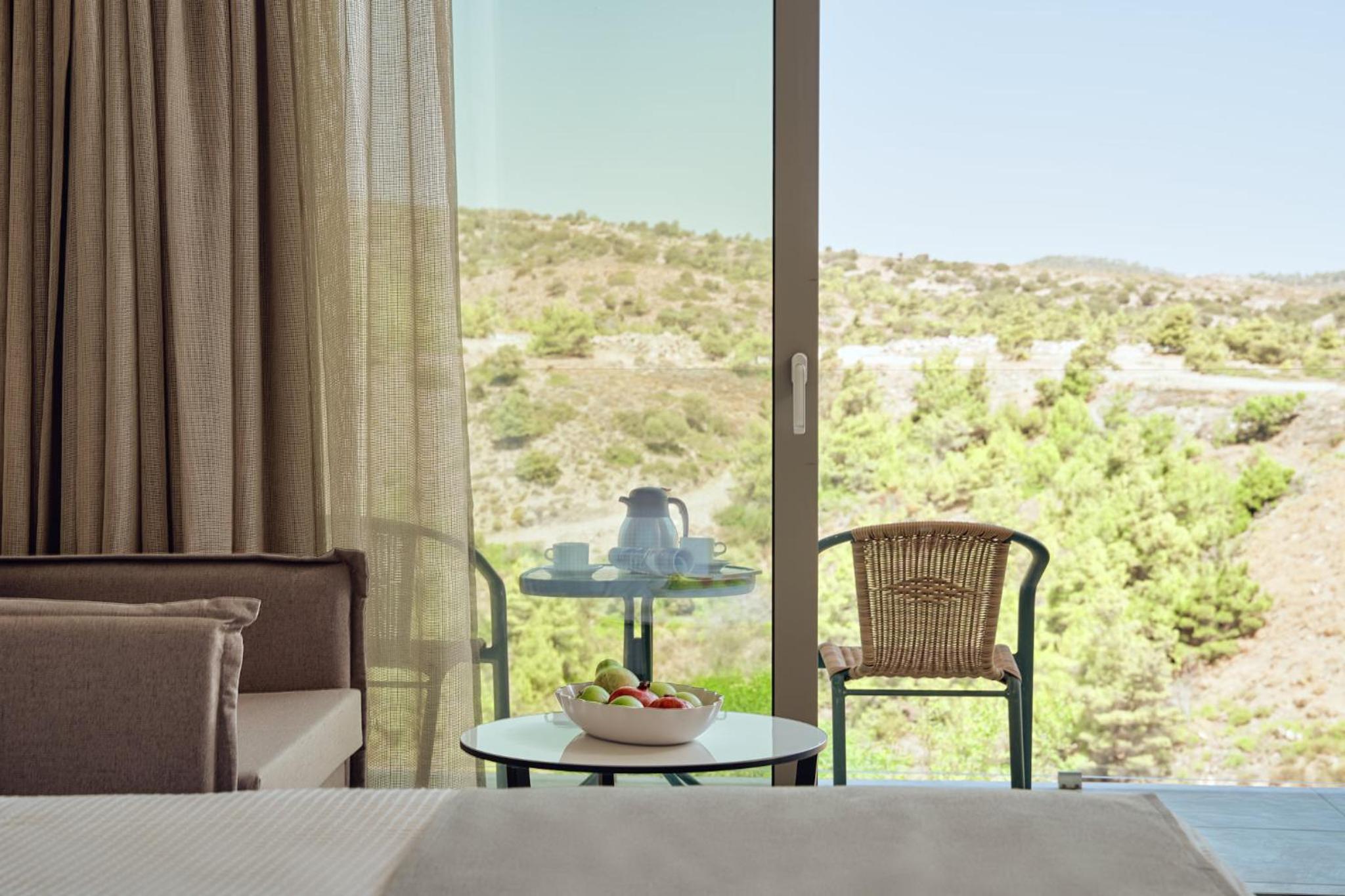 Double Room with Mountain View photo 3