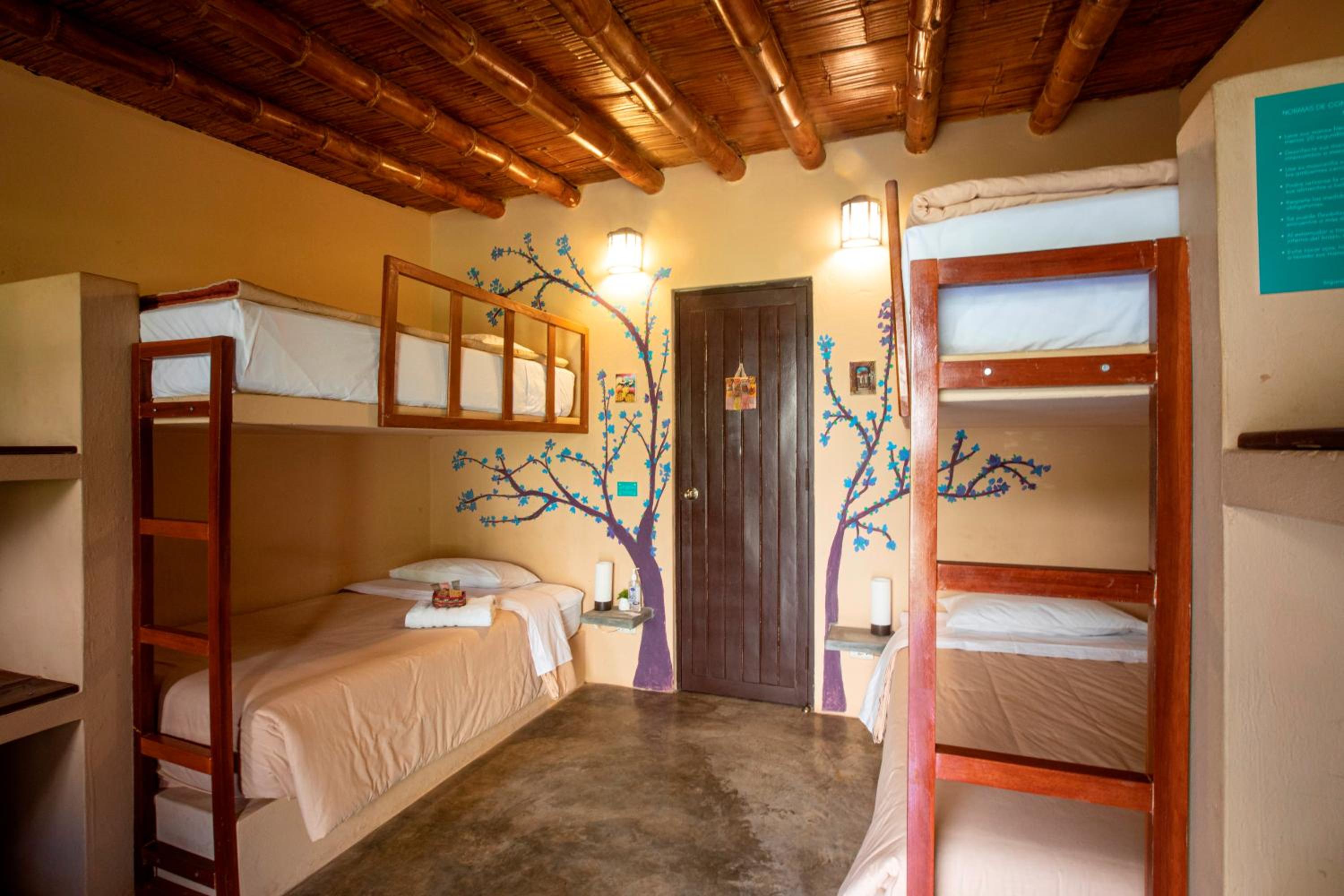 Quadruple Room with Garden View photo 2