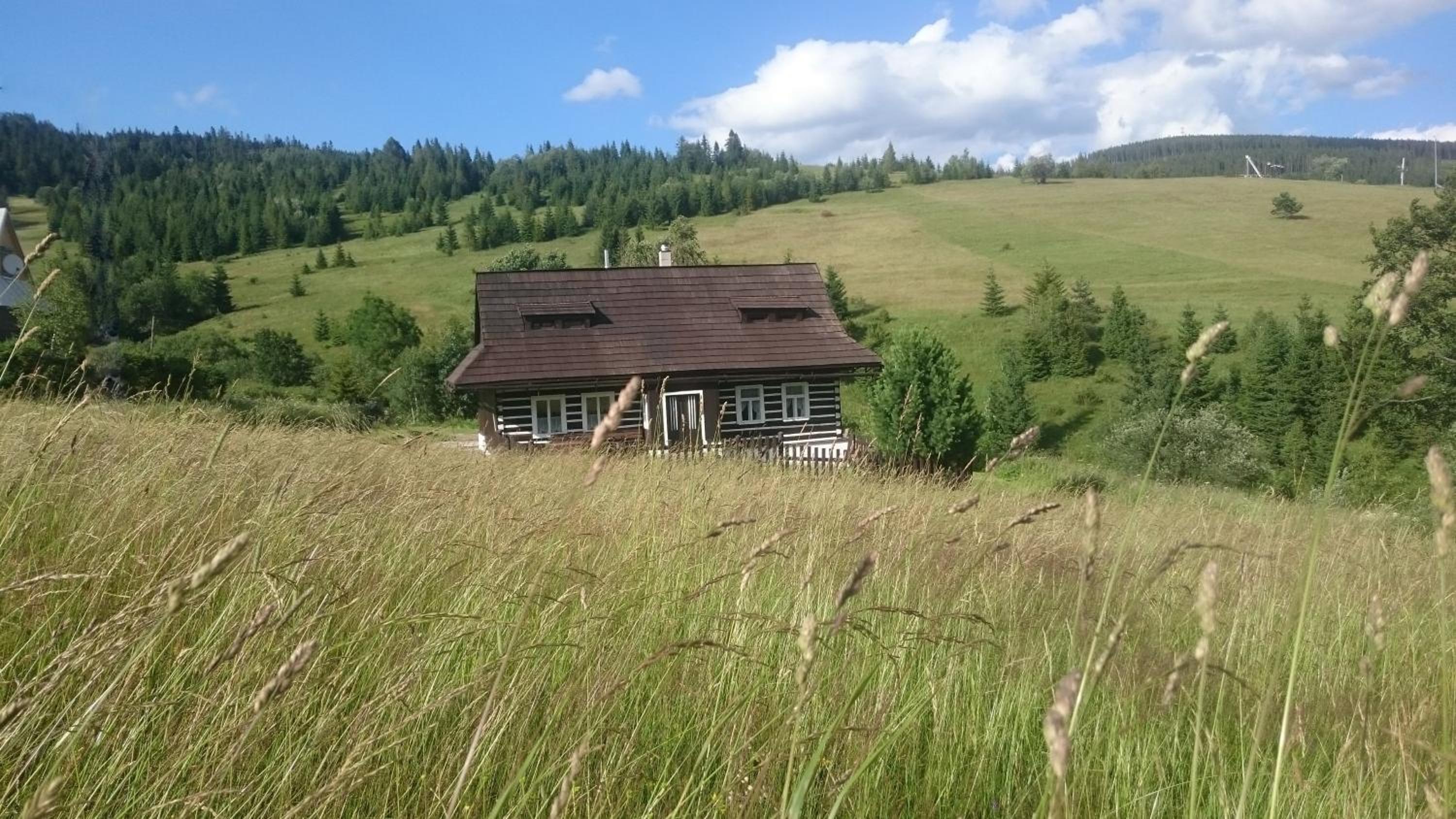 Three-Bedroom Chalet - Photo 45