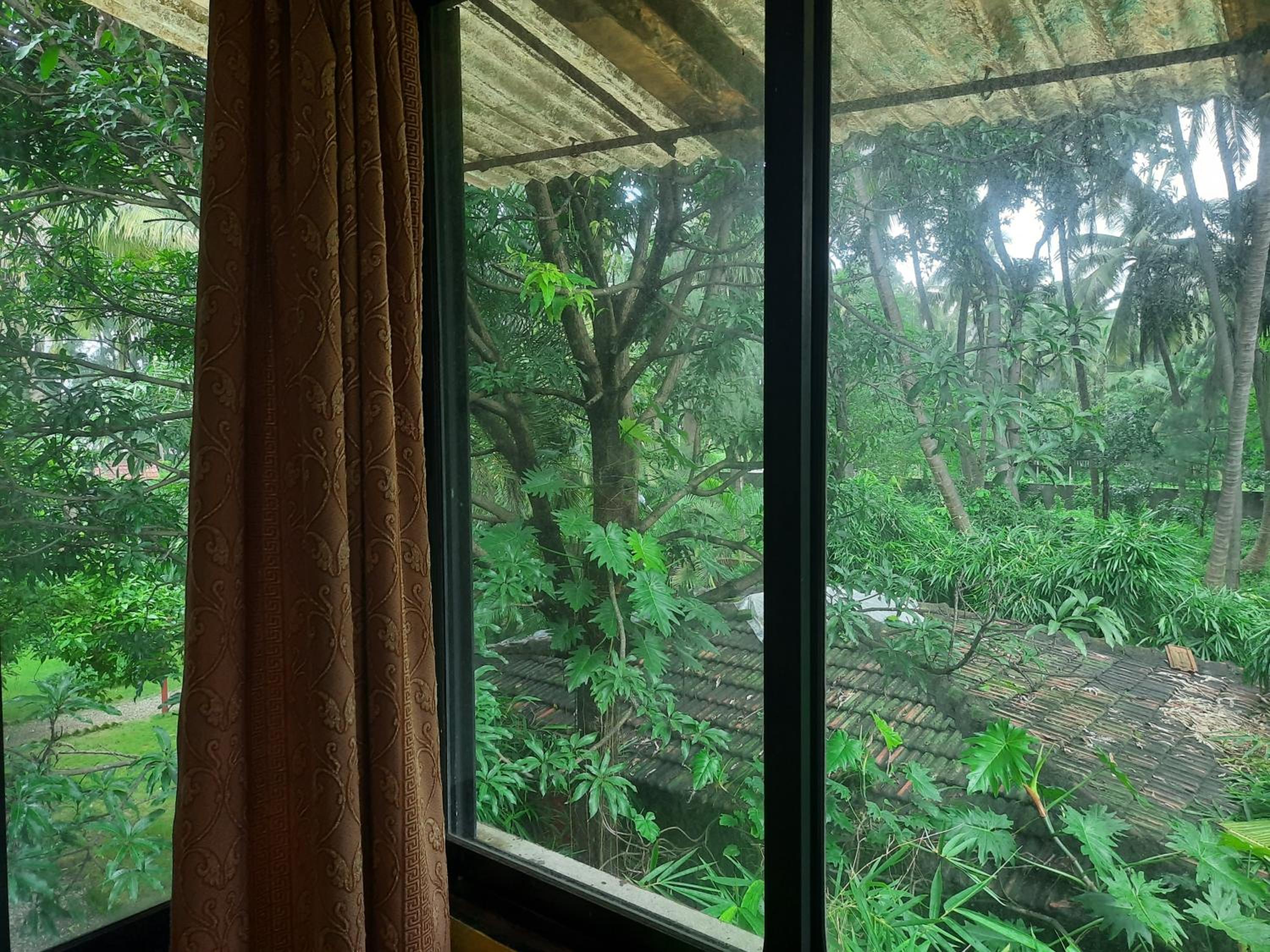 Double Room With Garden View photo 3