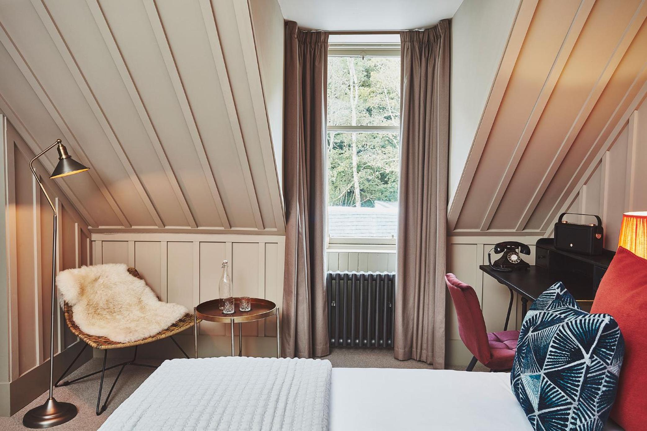 King Room photo 1
