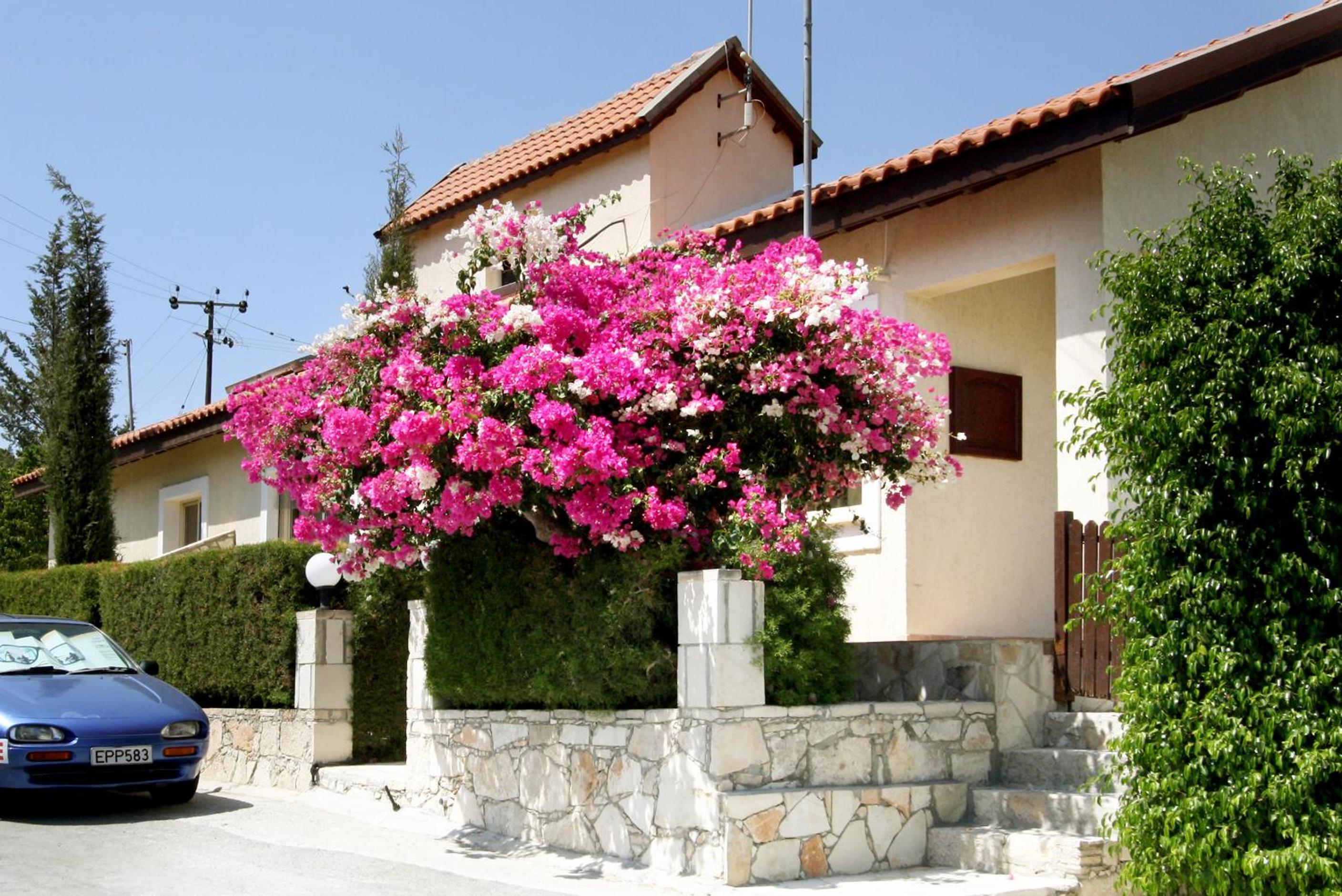 Villa con 3 Camere da Letto e Piscina Privata