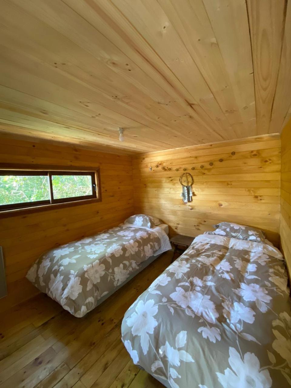 Female Dormitory Room photo 1