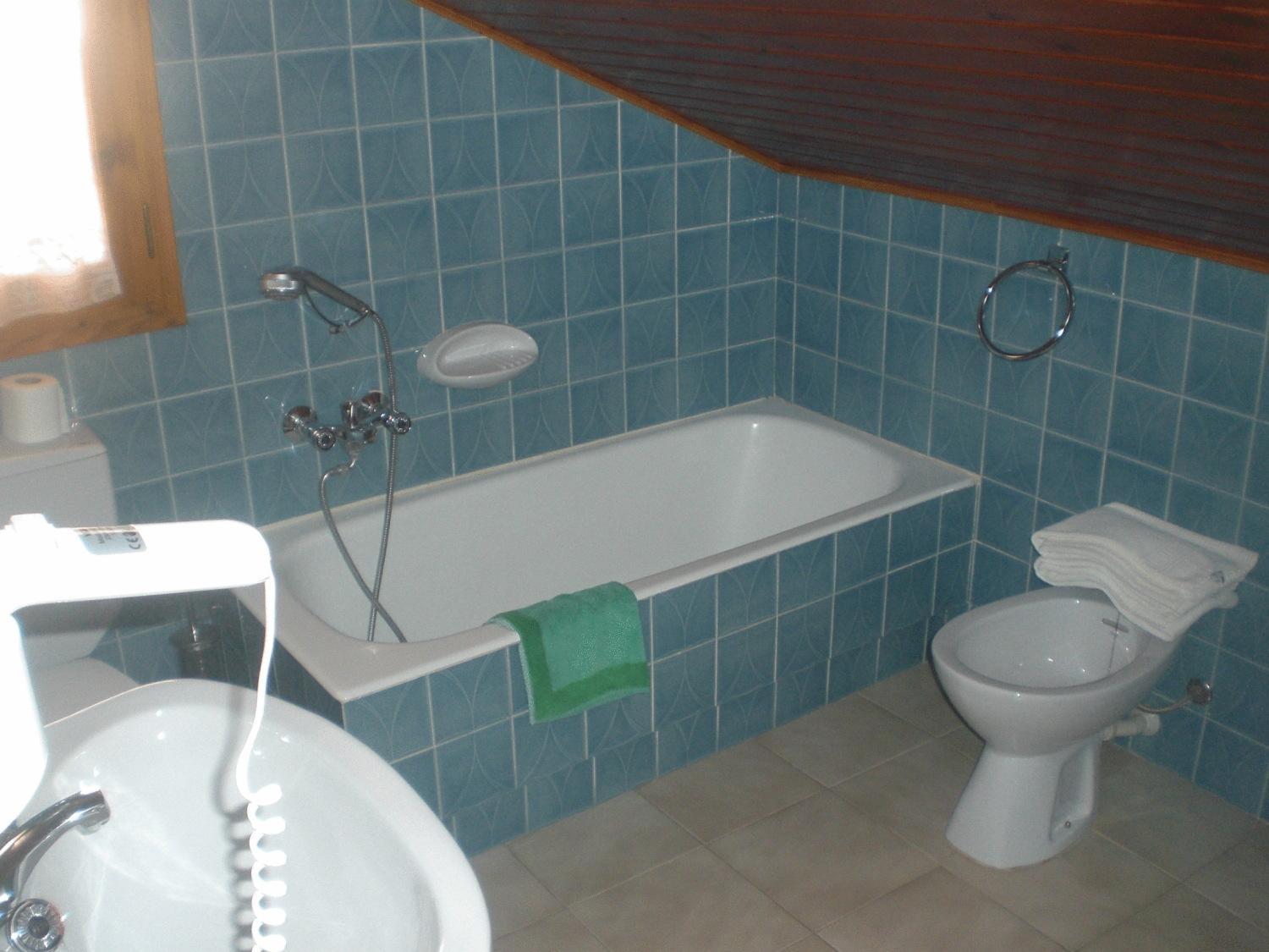 Double or Twin Room photo 3