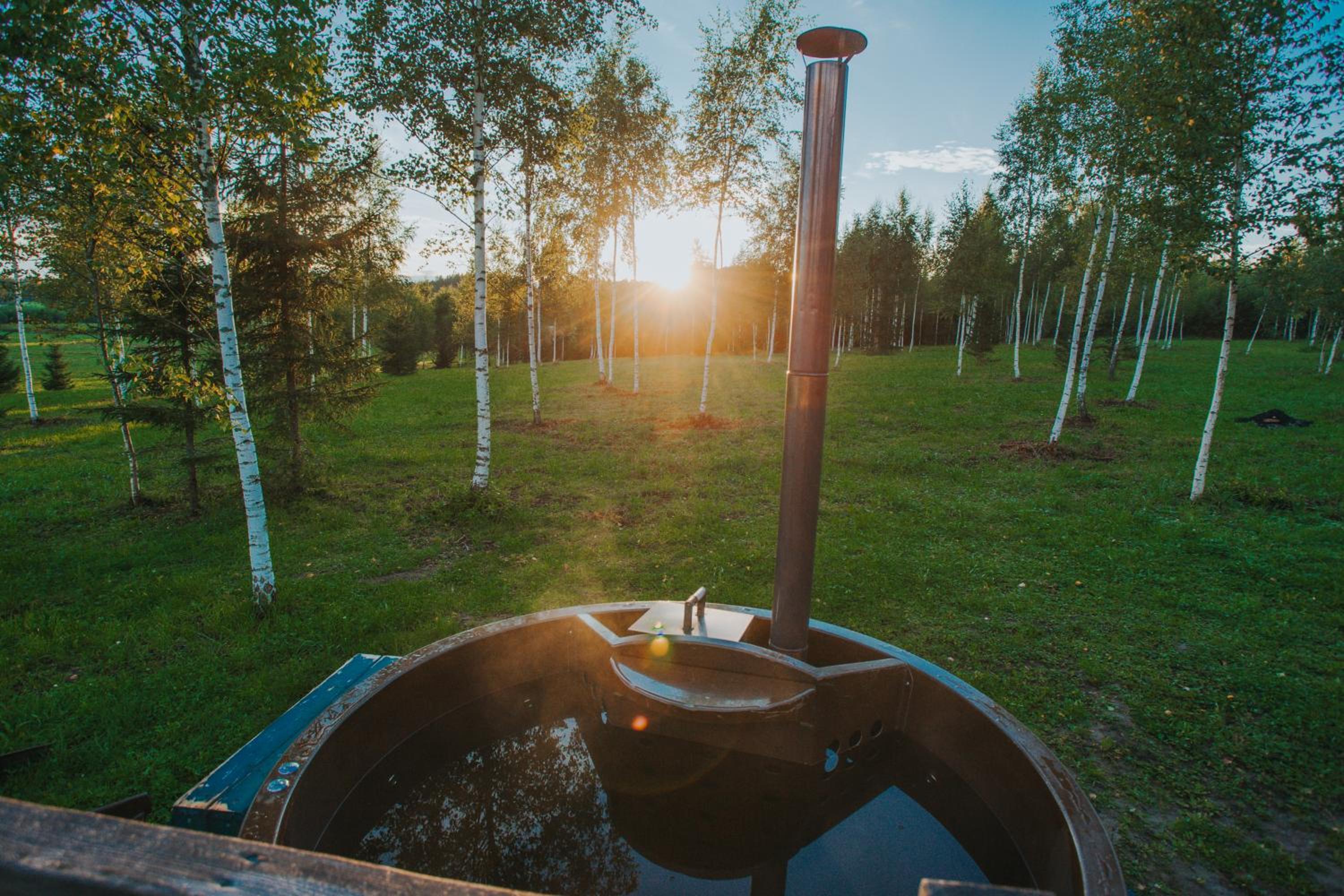 Tent Birches - Photo 19