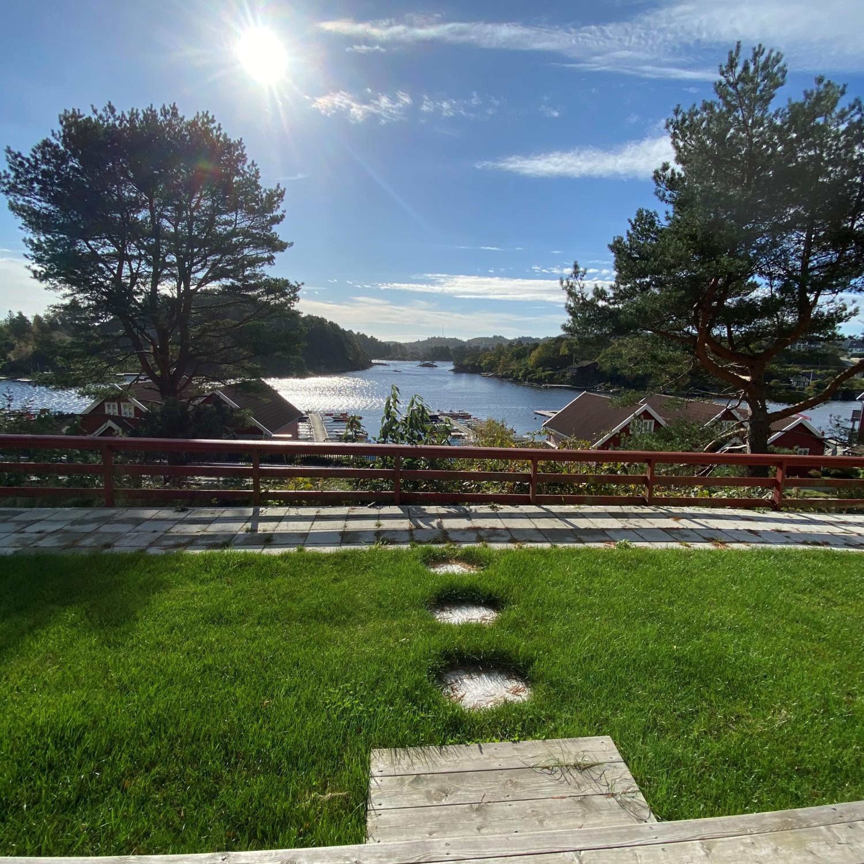 Budget Cottage photo 3