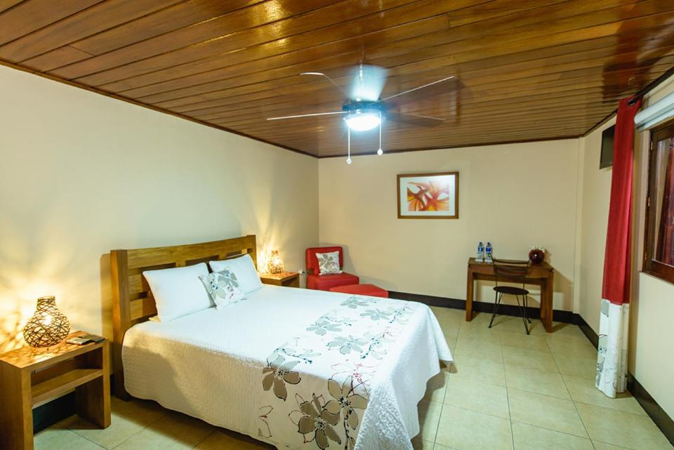 Double Room photo 1