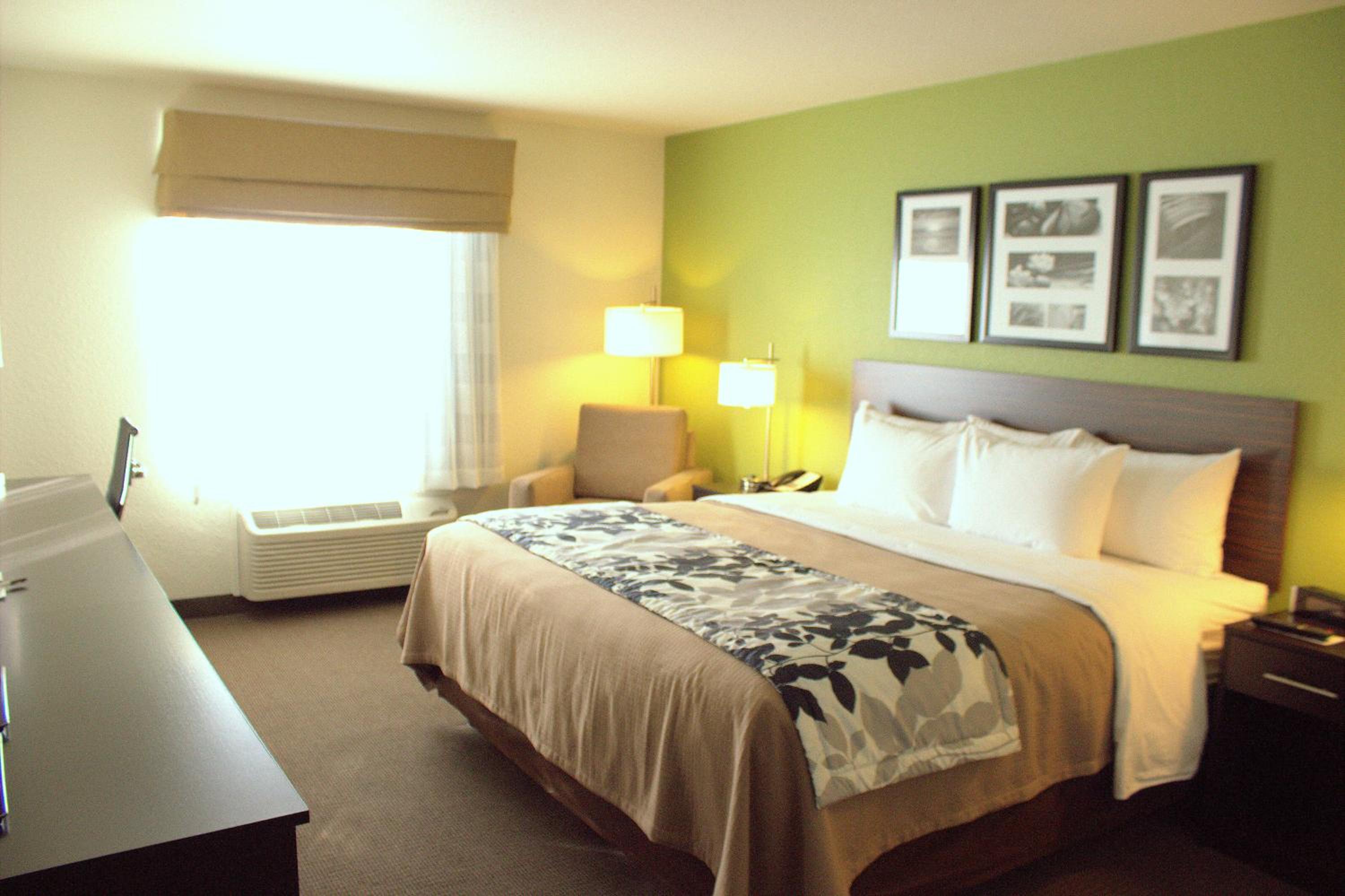 Standard King Room - Non-Smoking  photo 3