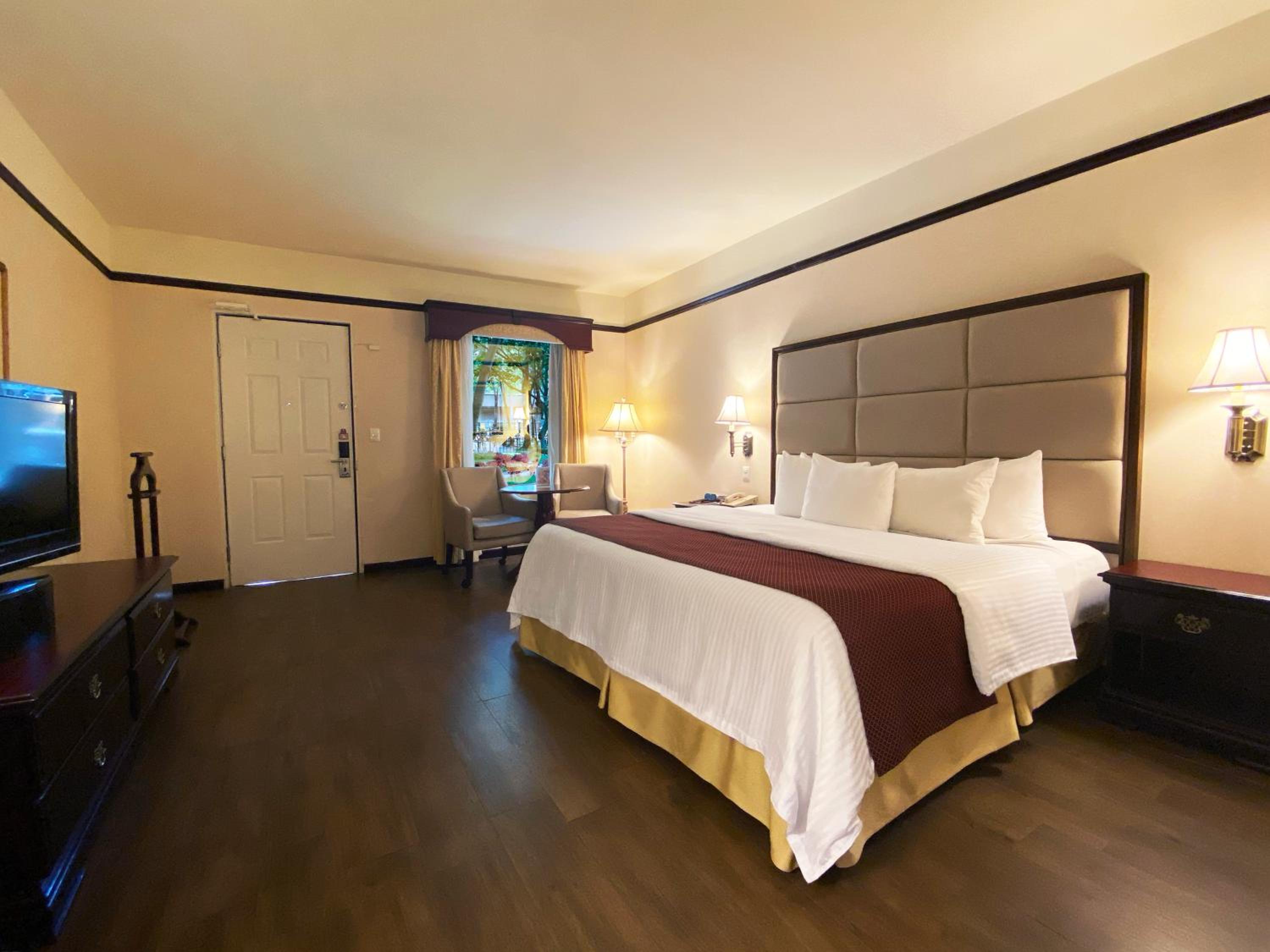 Garden King Room - Photo 1