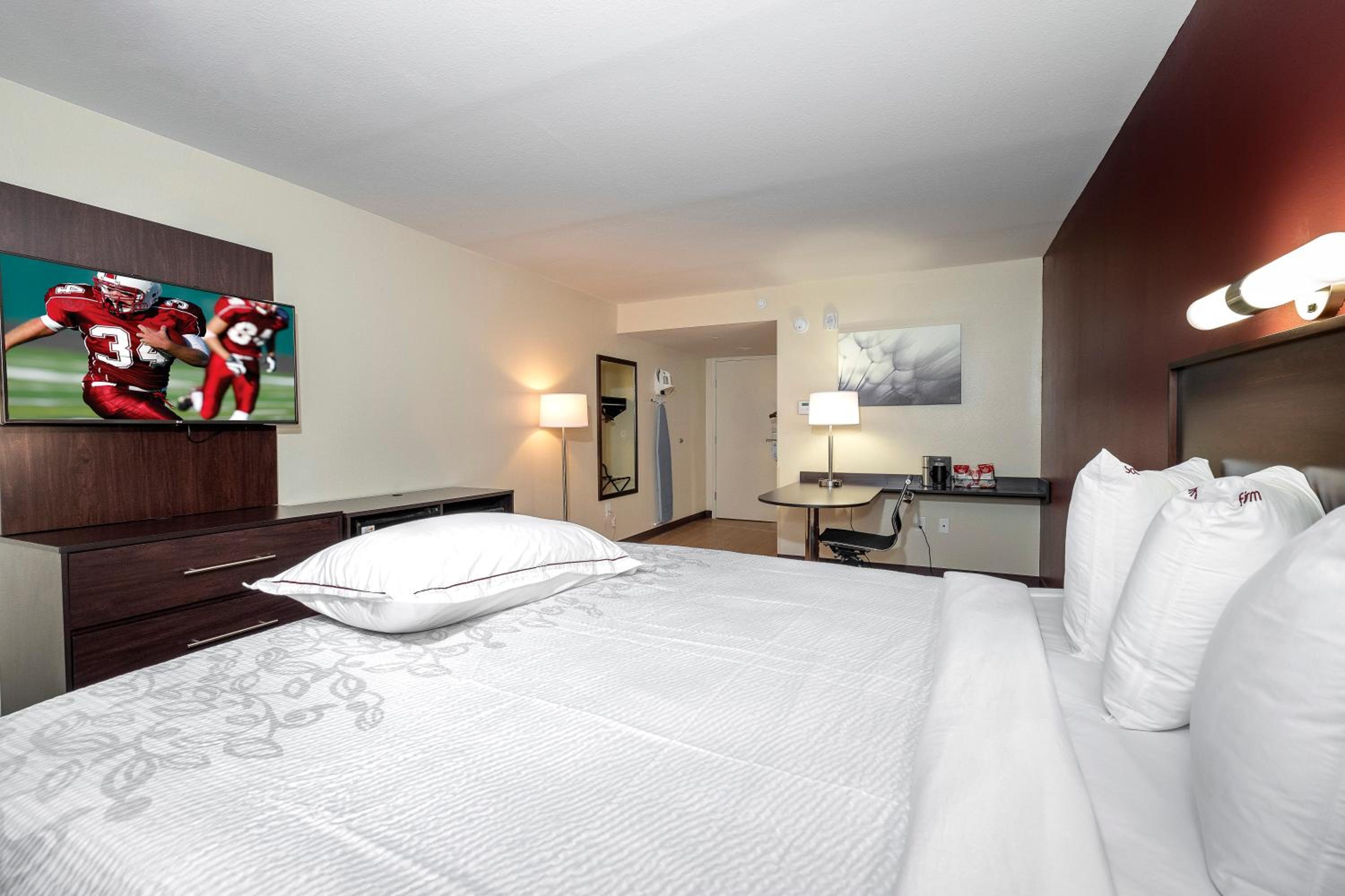 Premium King Room Smoke Free (Upgraded Bedding and Snack Box) - Photo 1