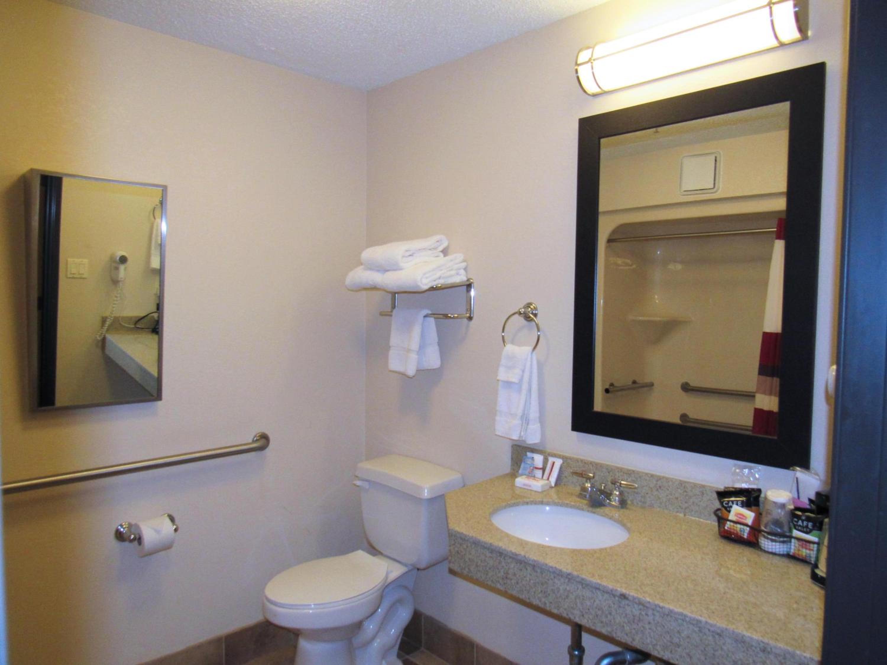 Deluxe Queen Room Disability Access Roll-In Shower Non-Smoking - Photo 6