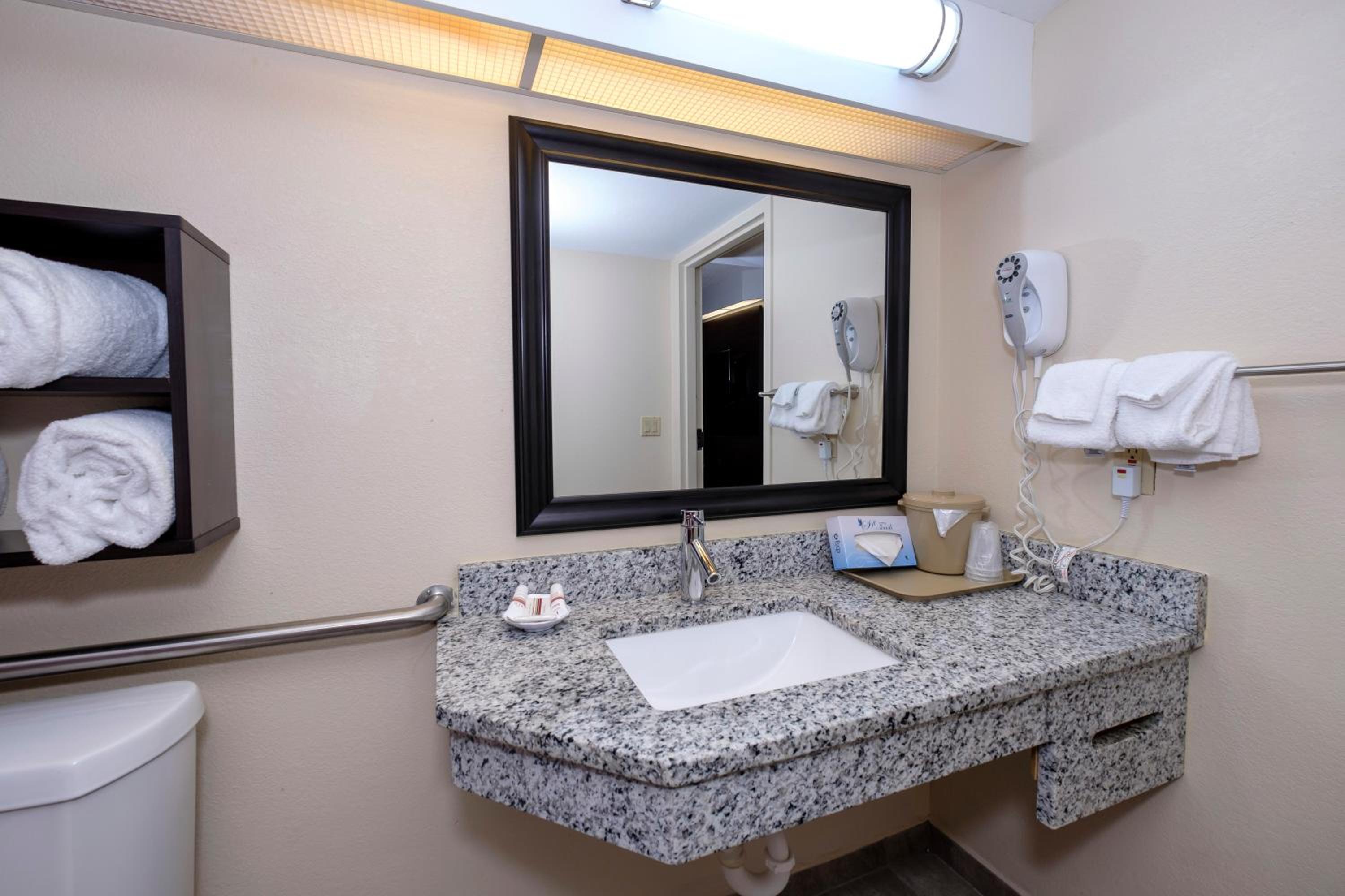 Deluxe Queen Room Disability Access Roll-In Shower Smoke Free - Photo 4