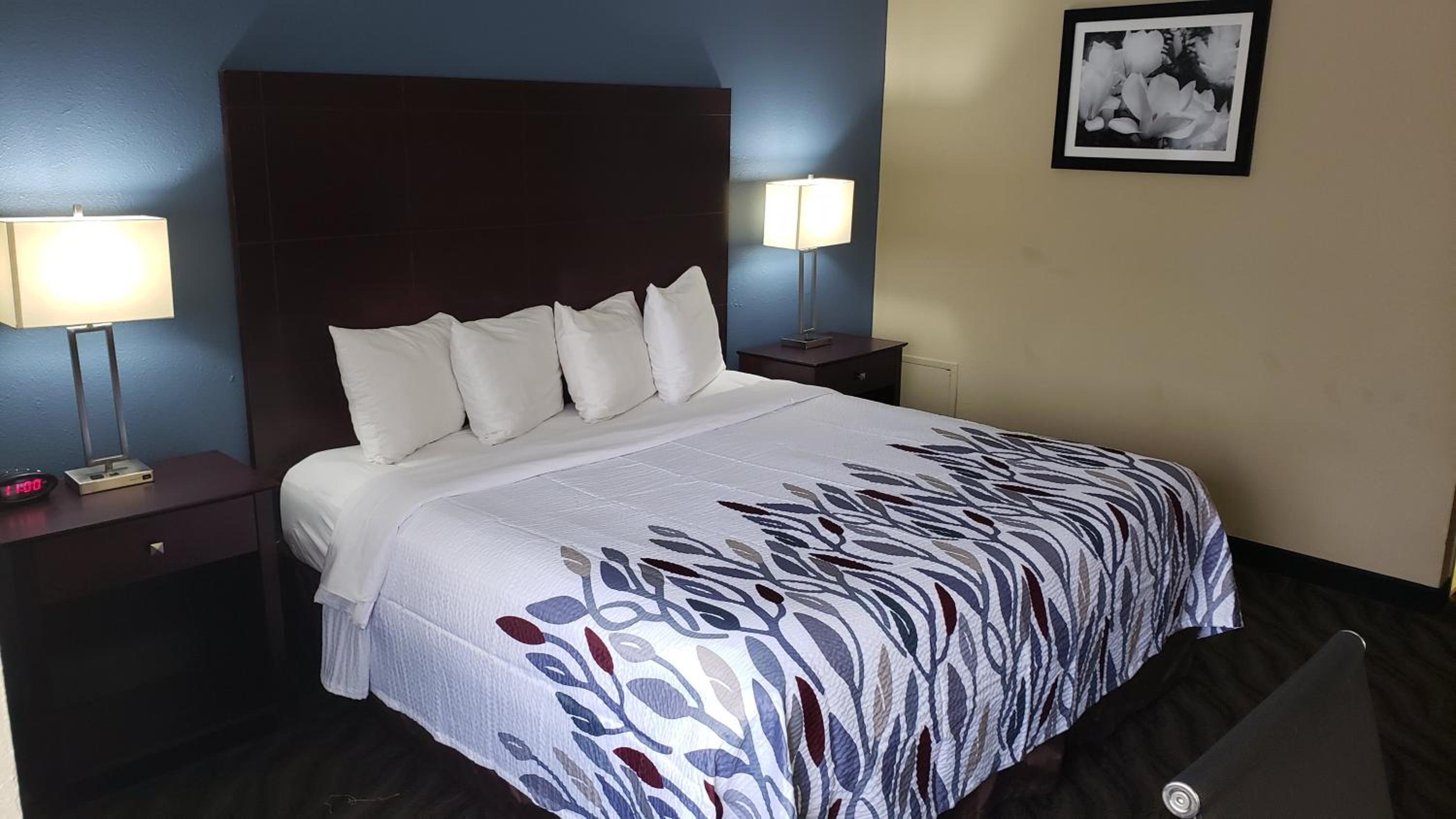 Superior King Room Disability Access Non-Smoking - Photo 1