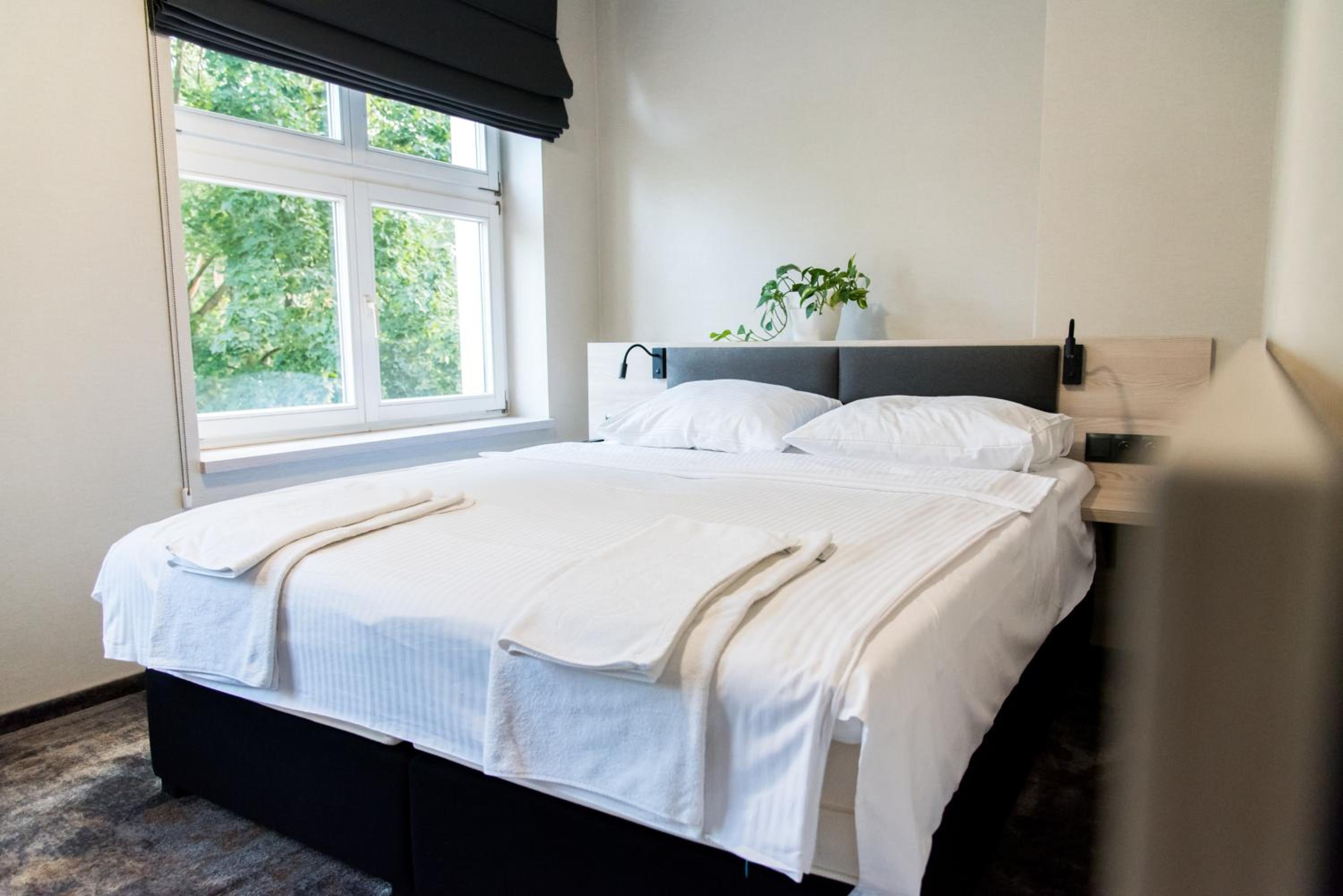 Deluxe Double or Twin Room photo 3