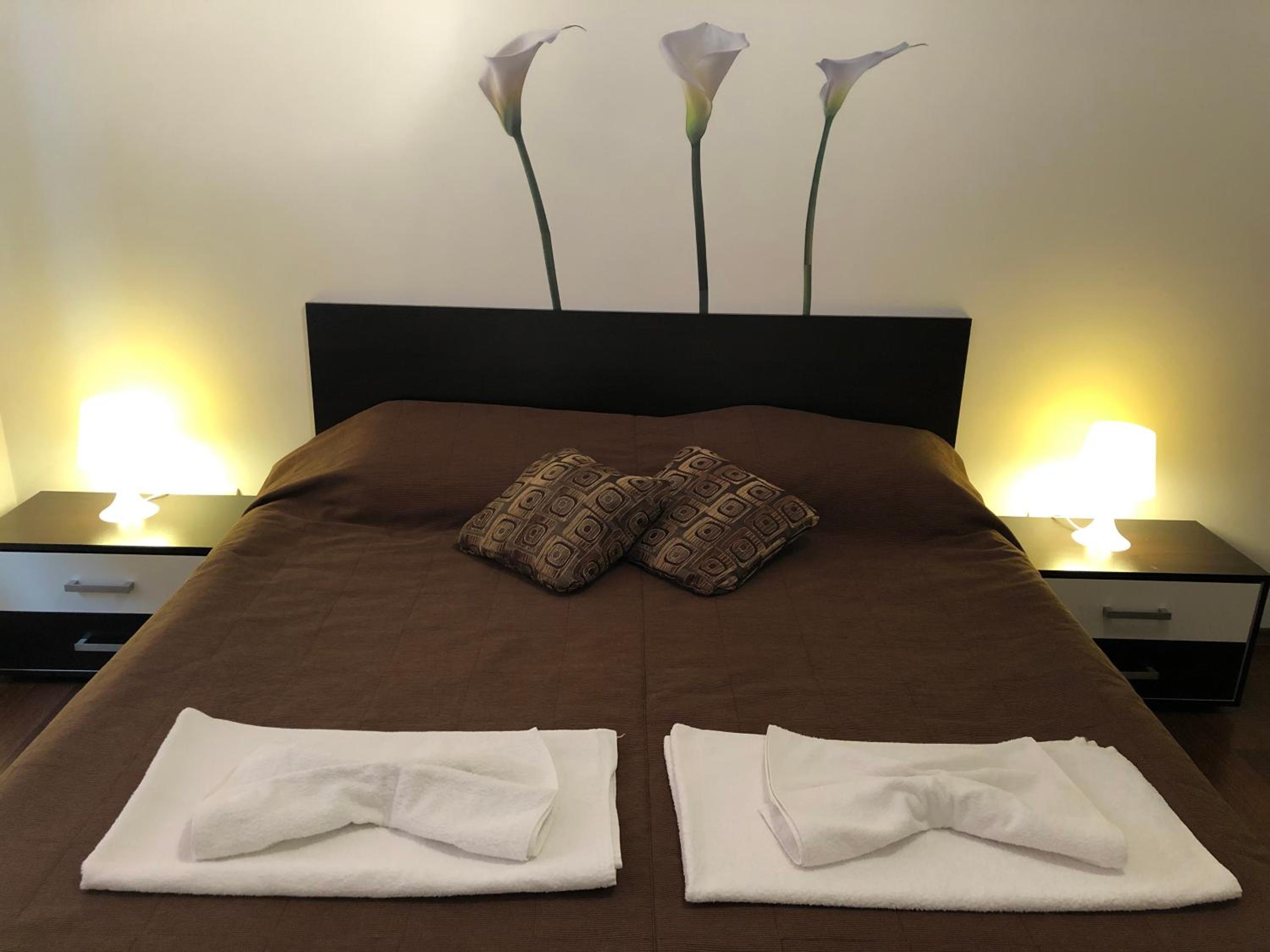 One-Bedroom Apartment with Balcony (ap. 6)