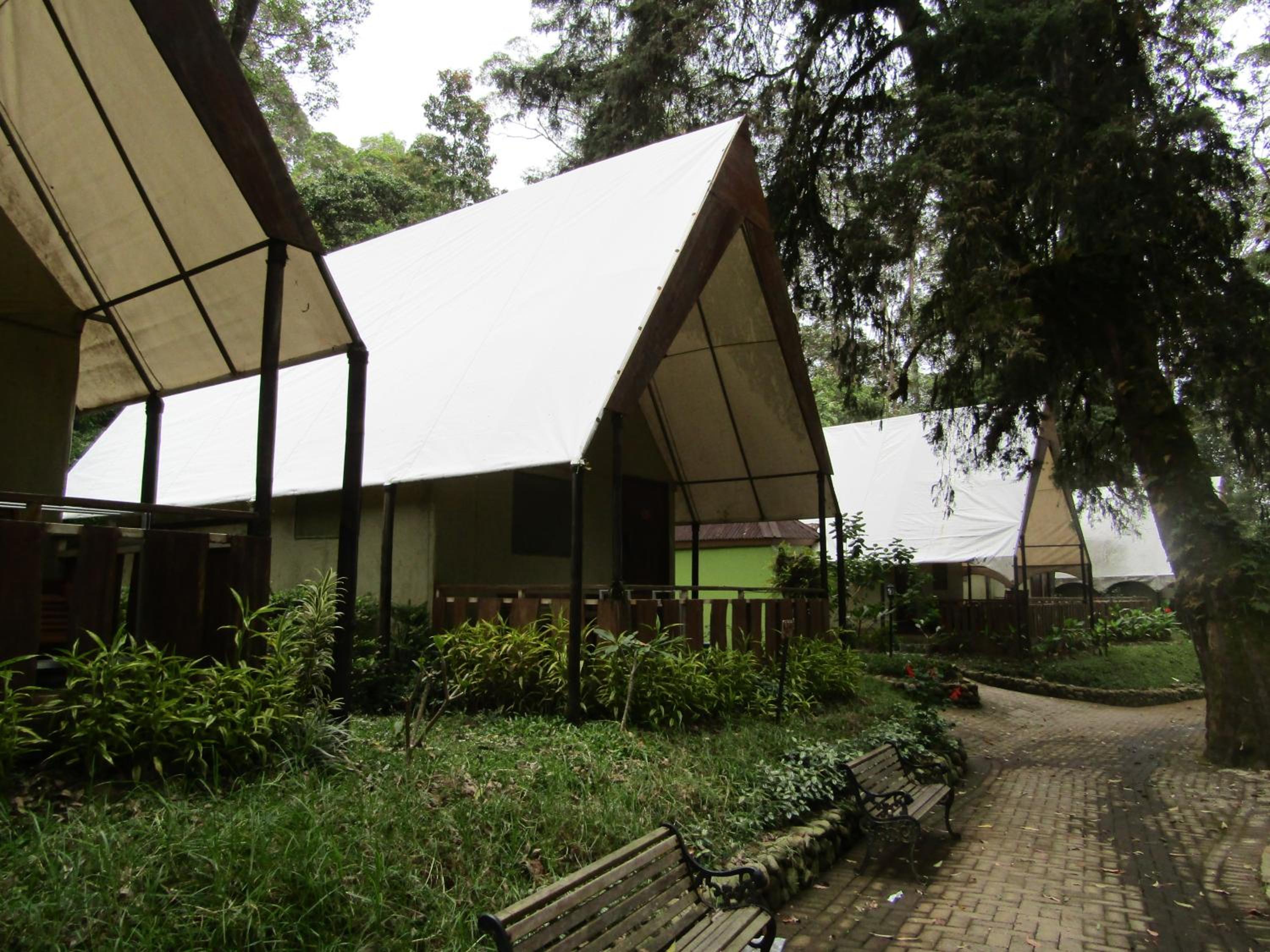 Double or Twin Room - Photo 6