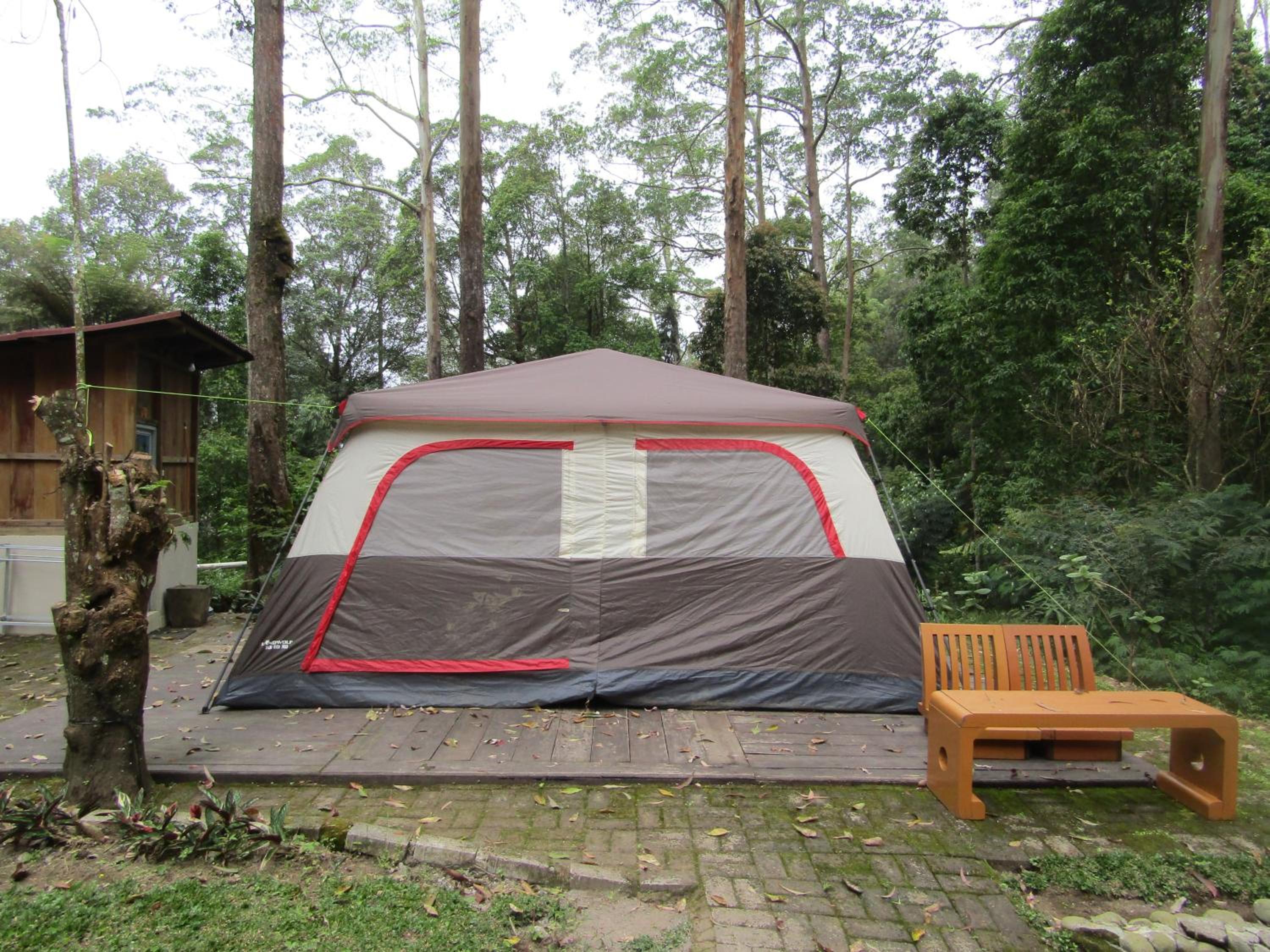 Triple Room - Photo 3
