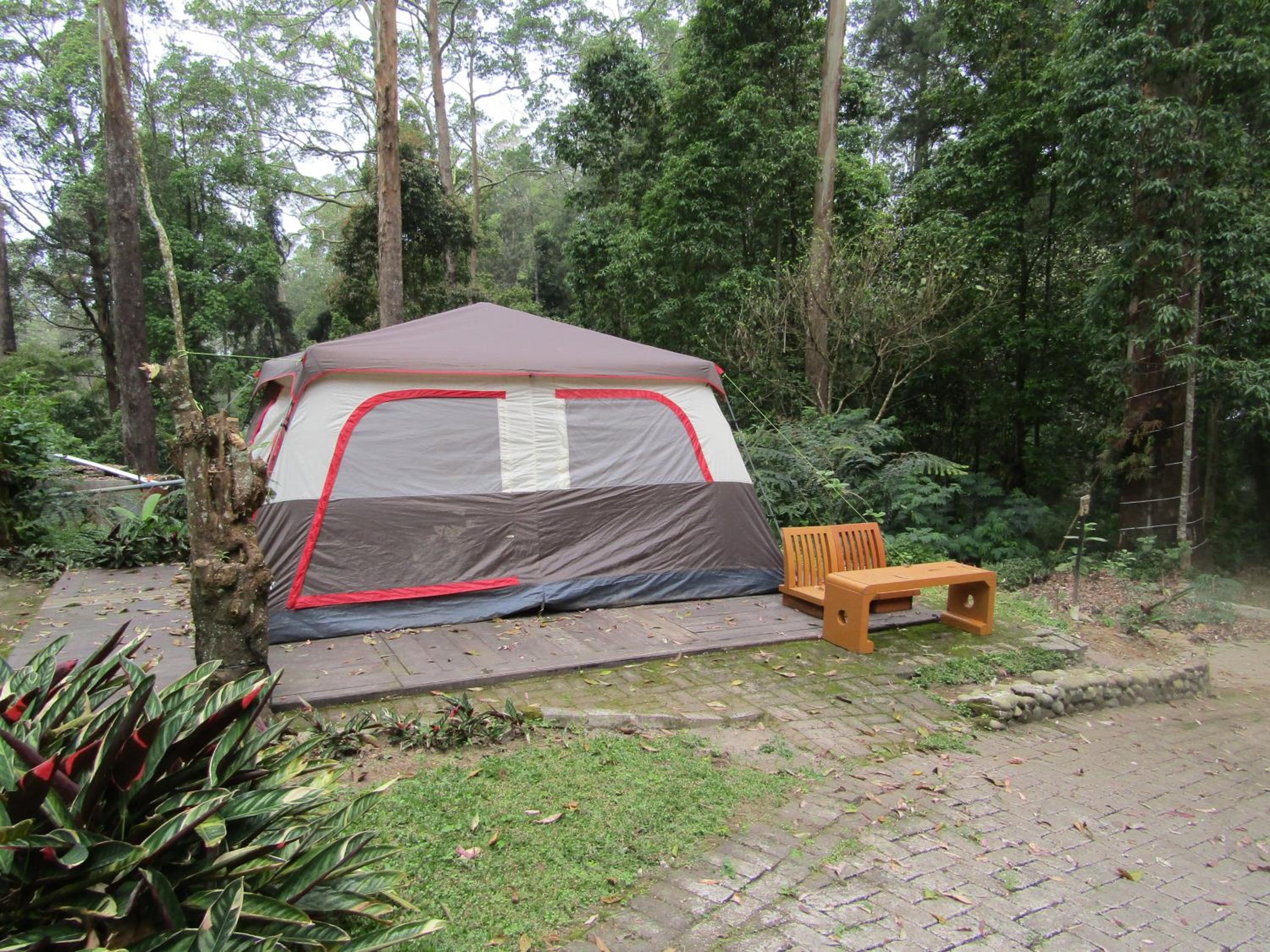 Triple Room - Photo 2