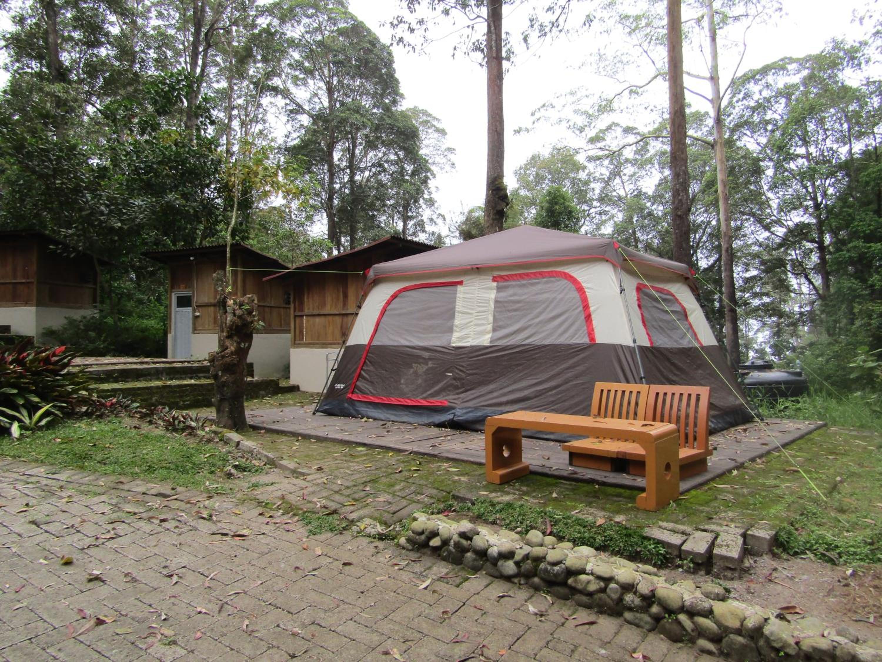 Triple Room - Photo 8