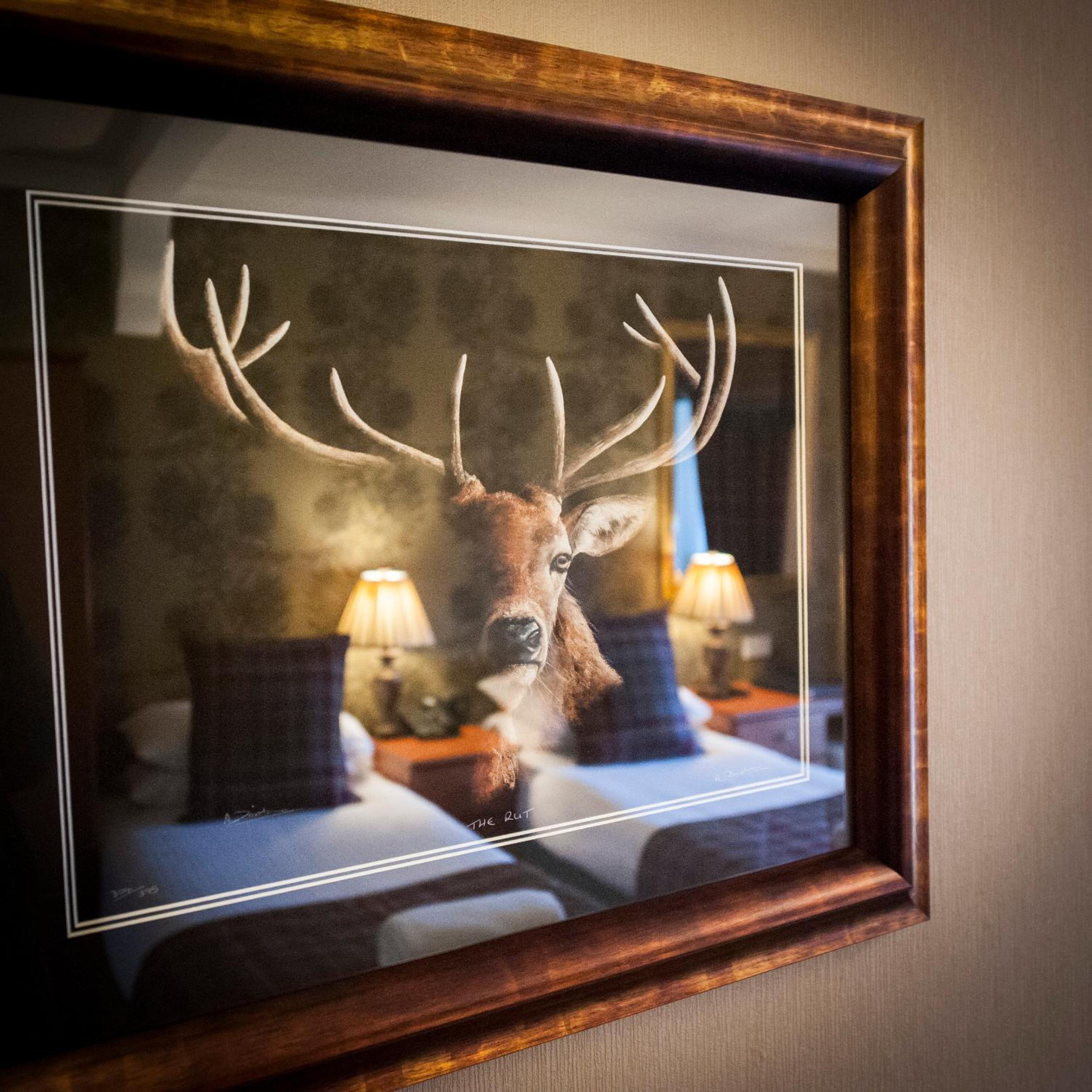 Superior Twin Room - Photo 2