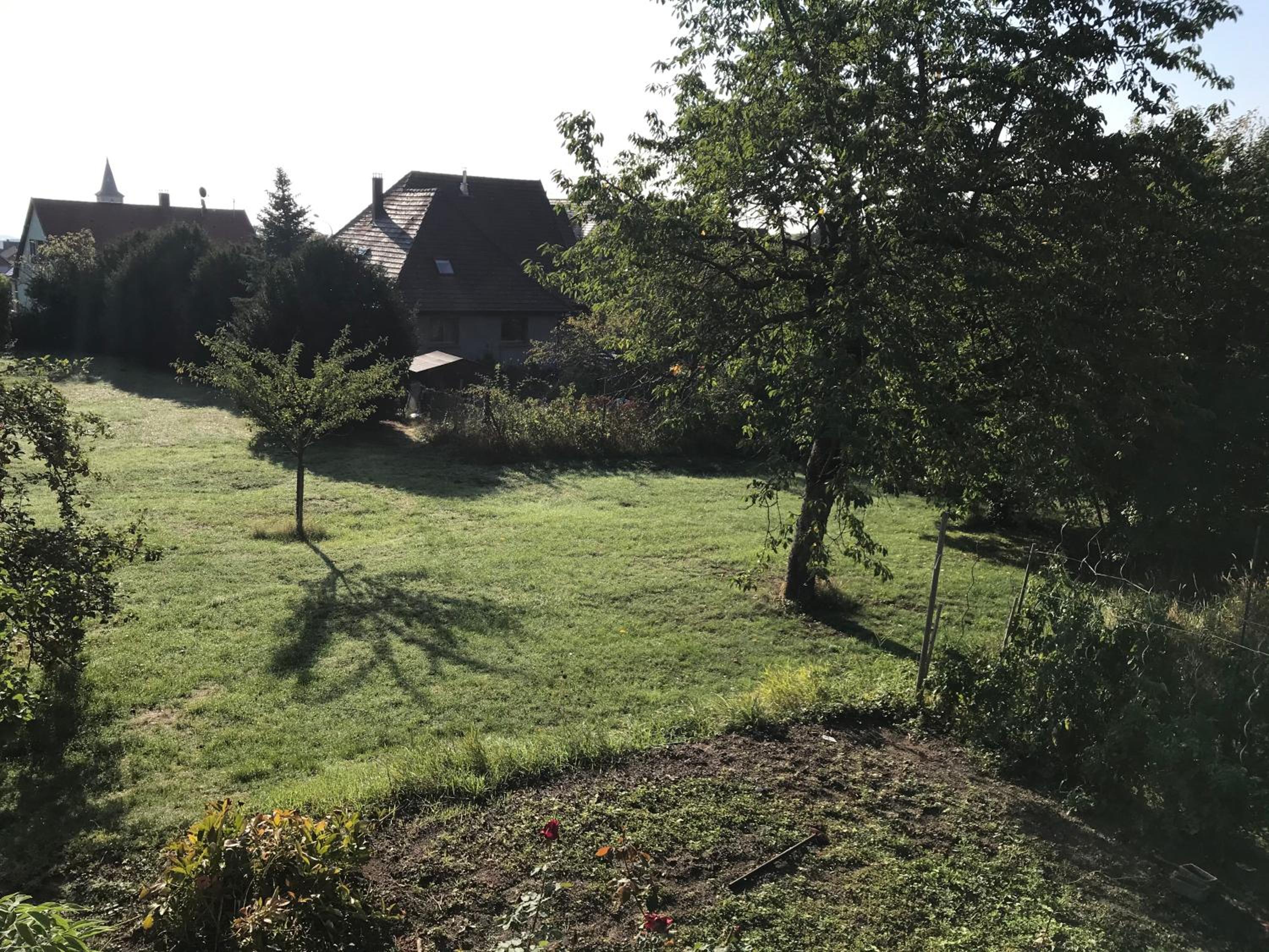 Double Room with Garden View
