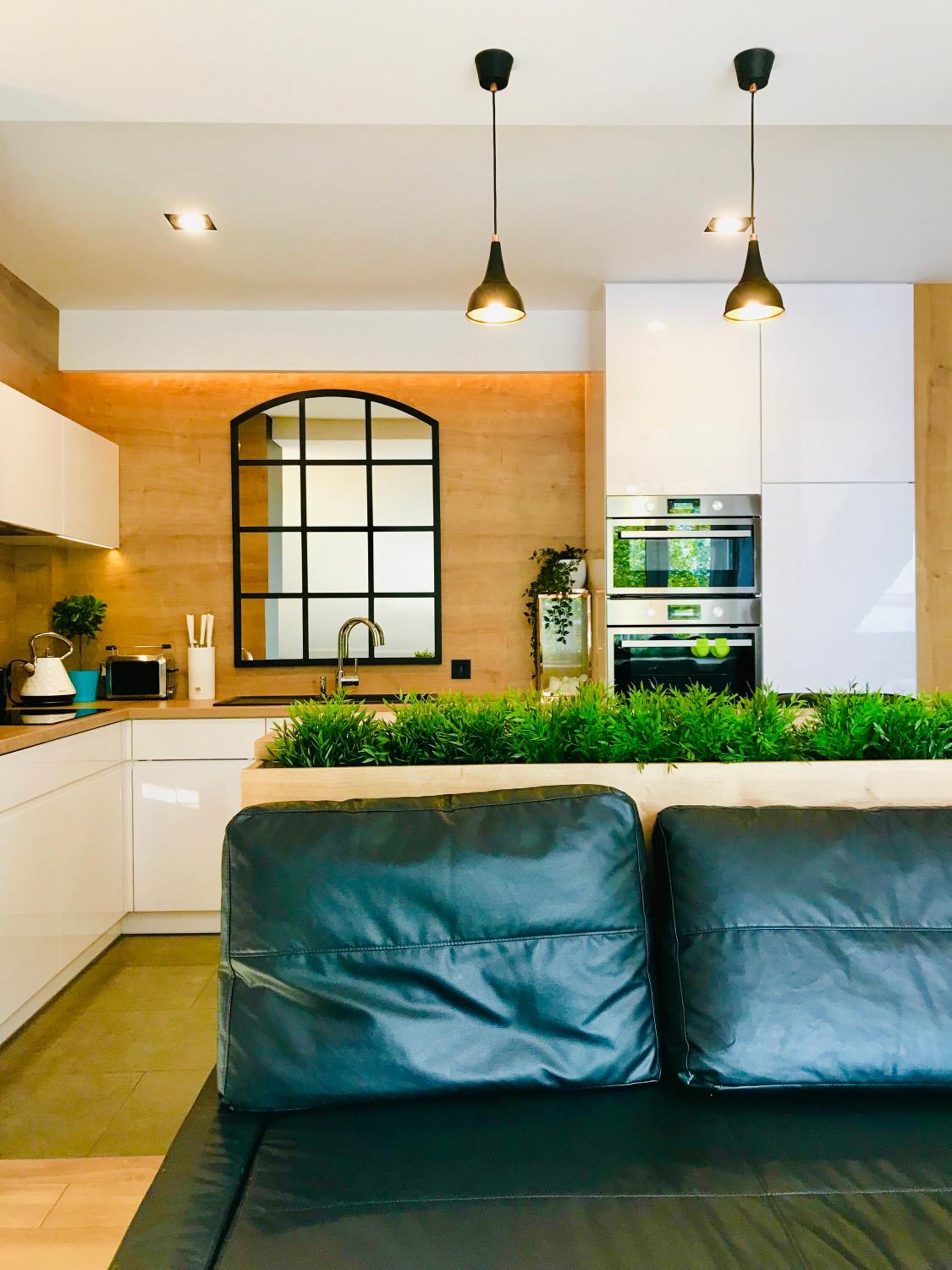 Apartment with Terrace photo 3