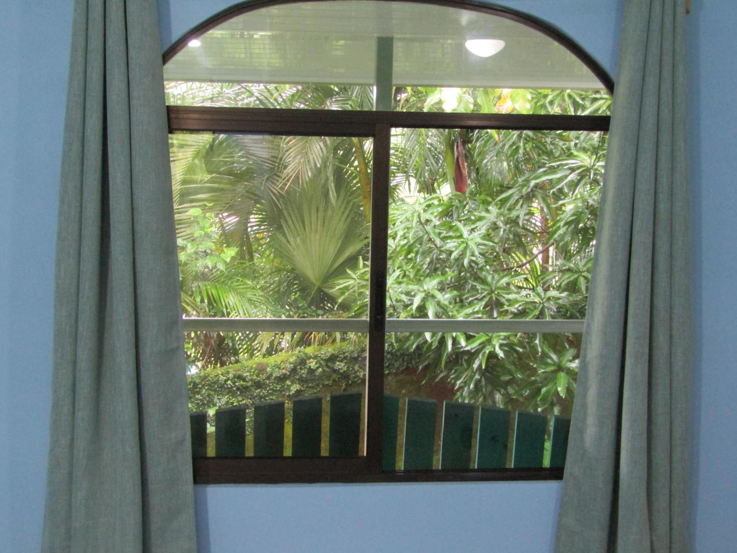 Studio with Balcony photo 2