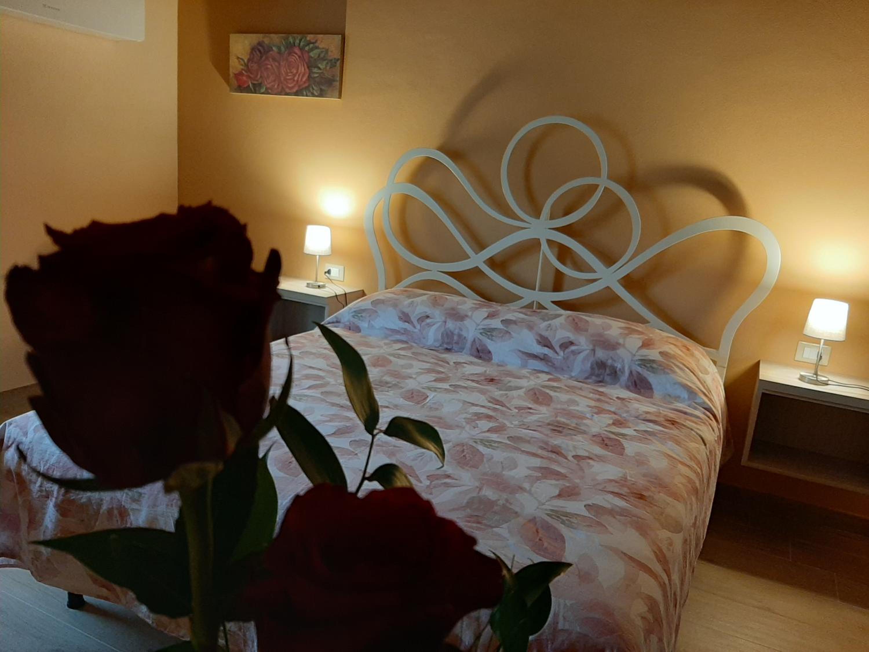 Double Room with Balcony photo 1