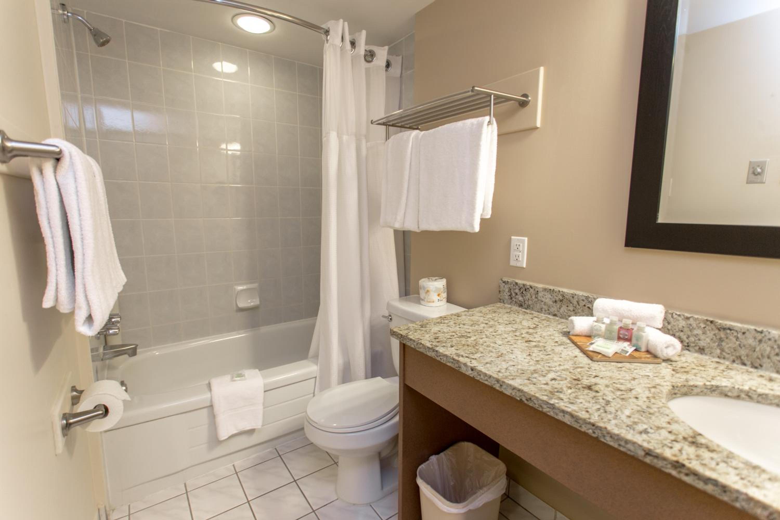 Premium Studio Full Kitchen Queen photo 2
