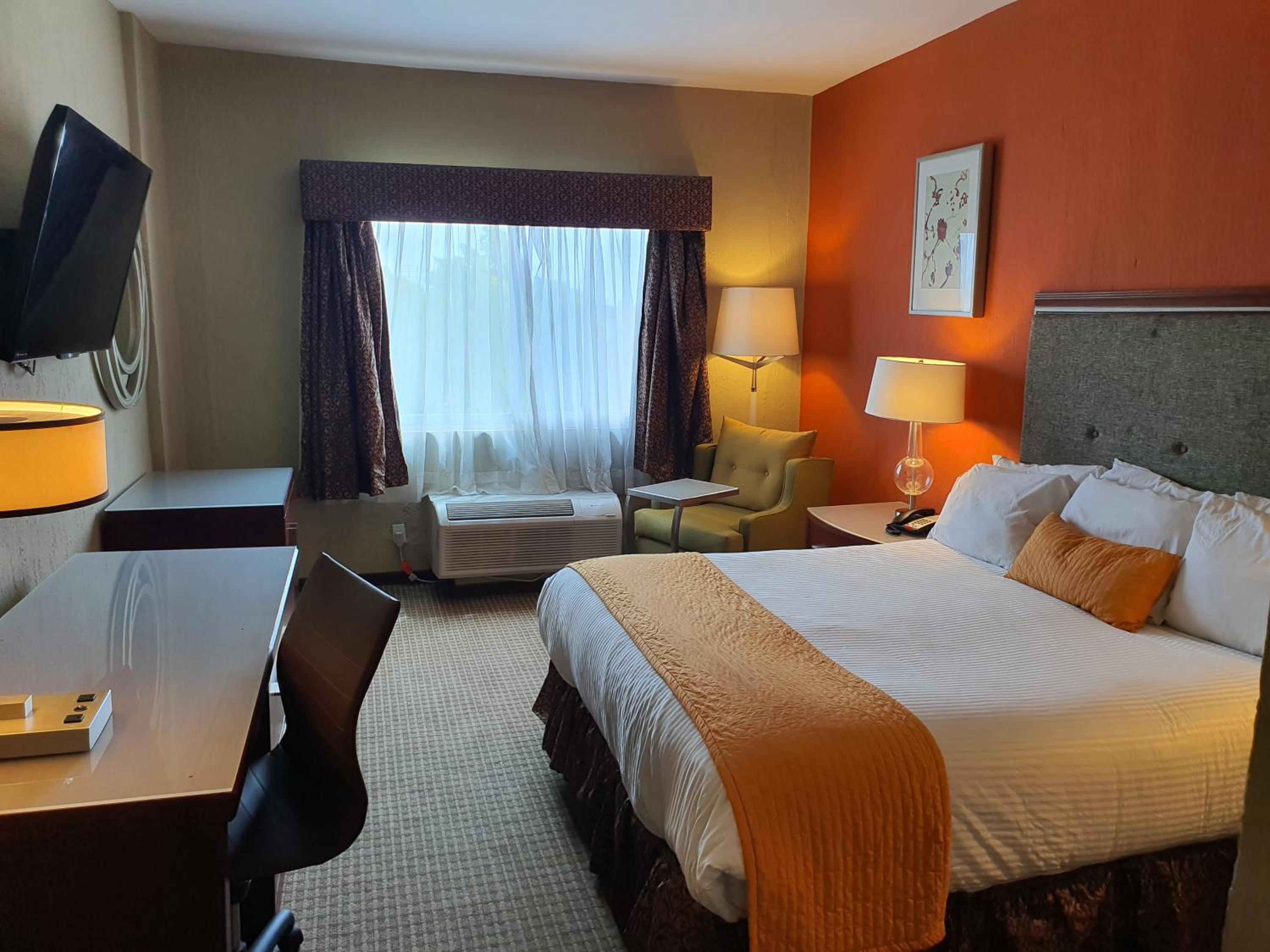 King Room - Photo 9