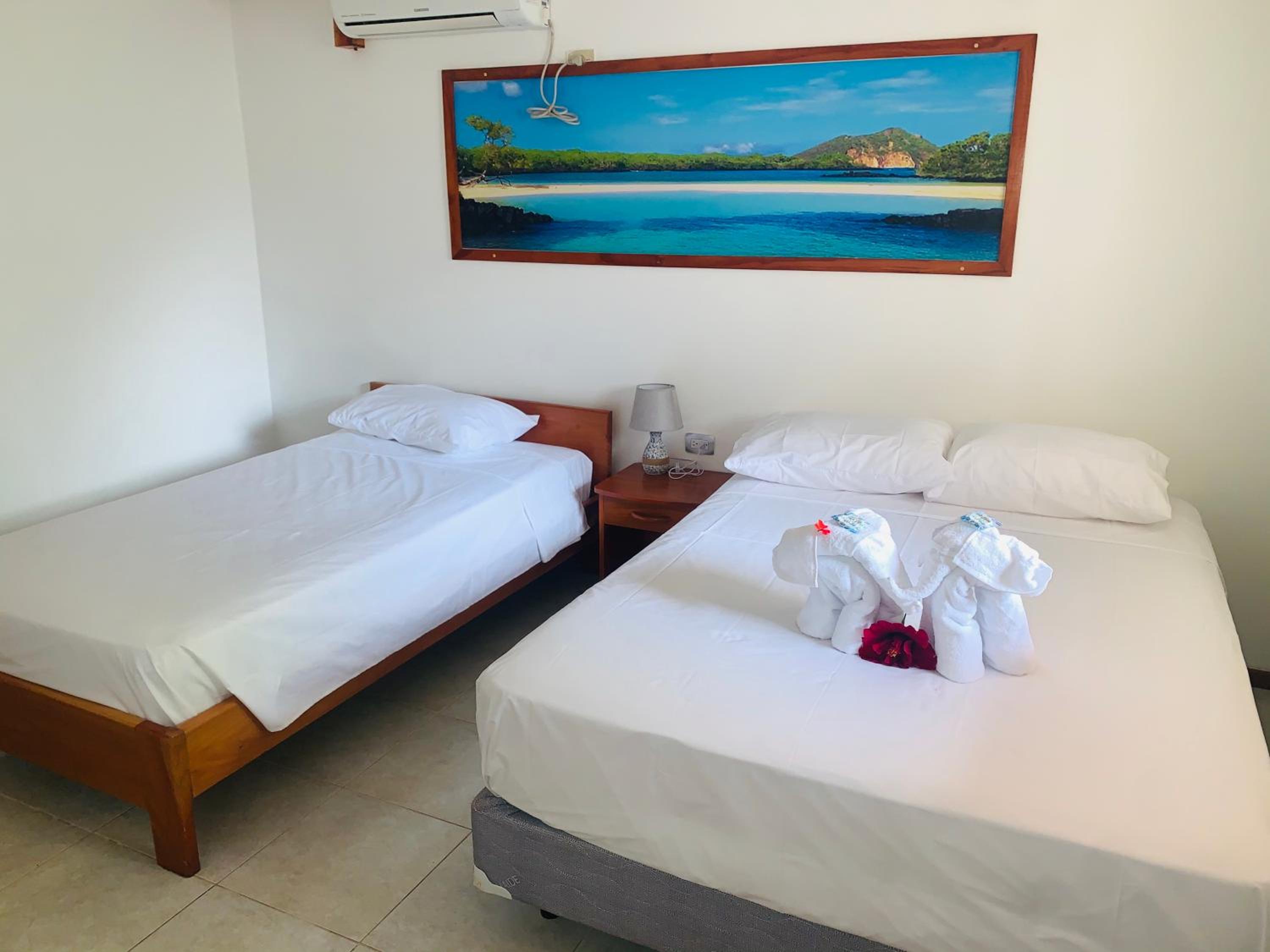 Twin Room photo 1