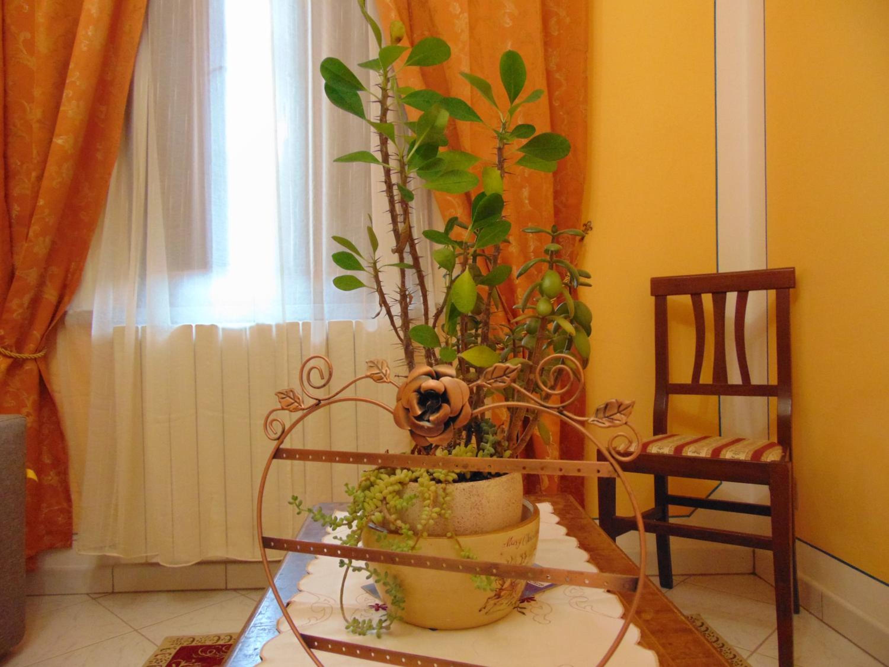 Junior Suite - Photo 3