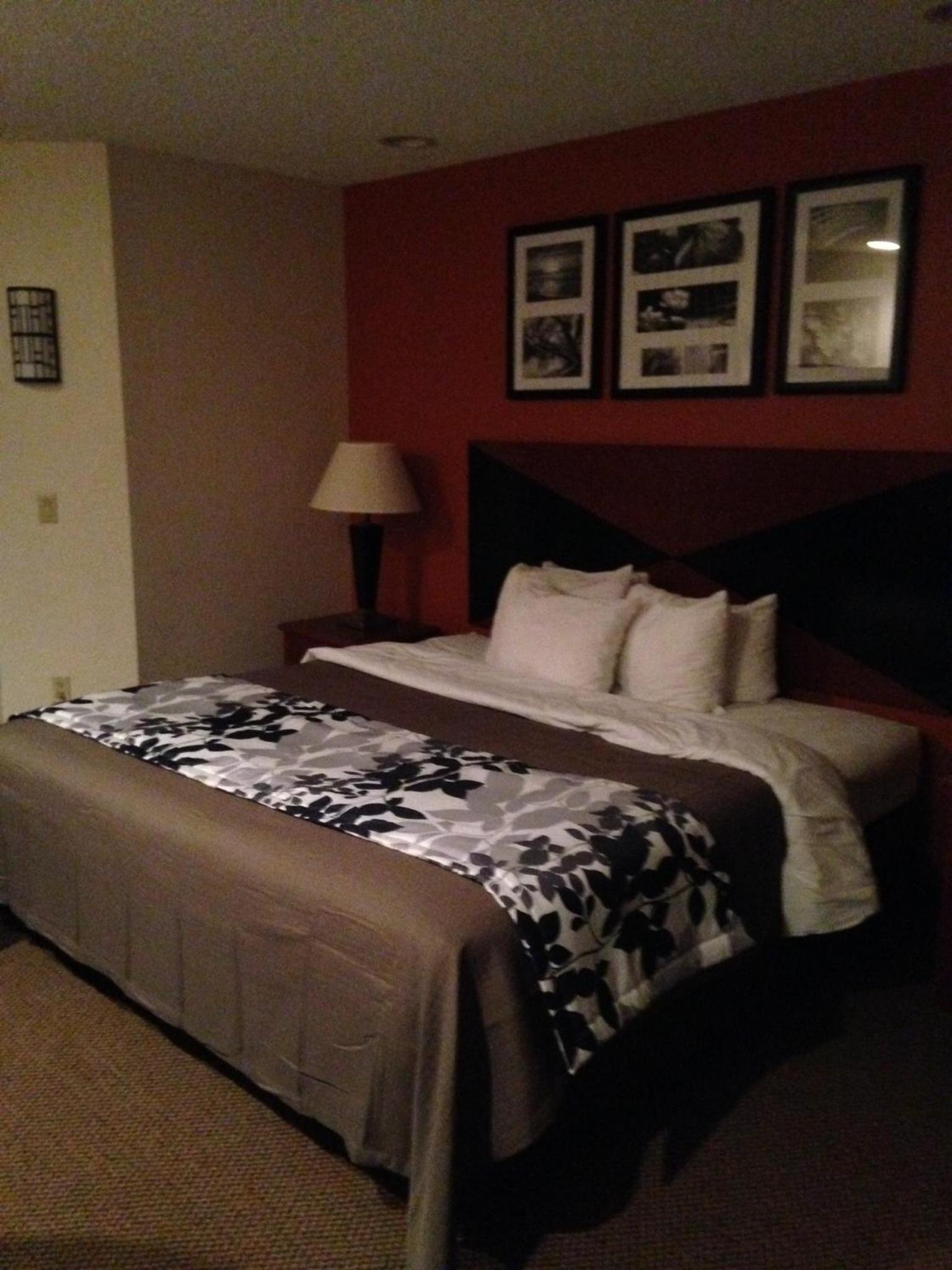 King Room - Non-Smoking - Photo 4