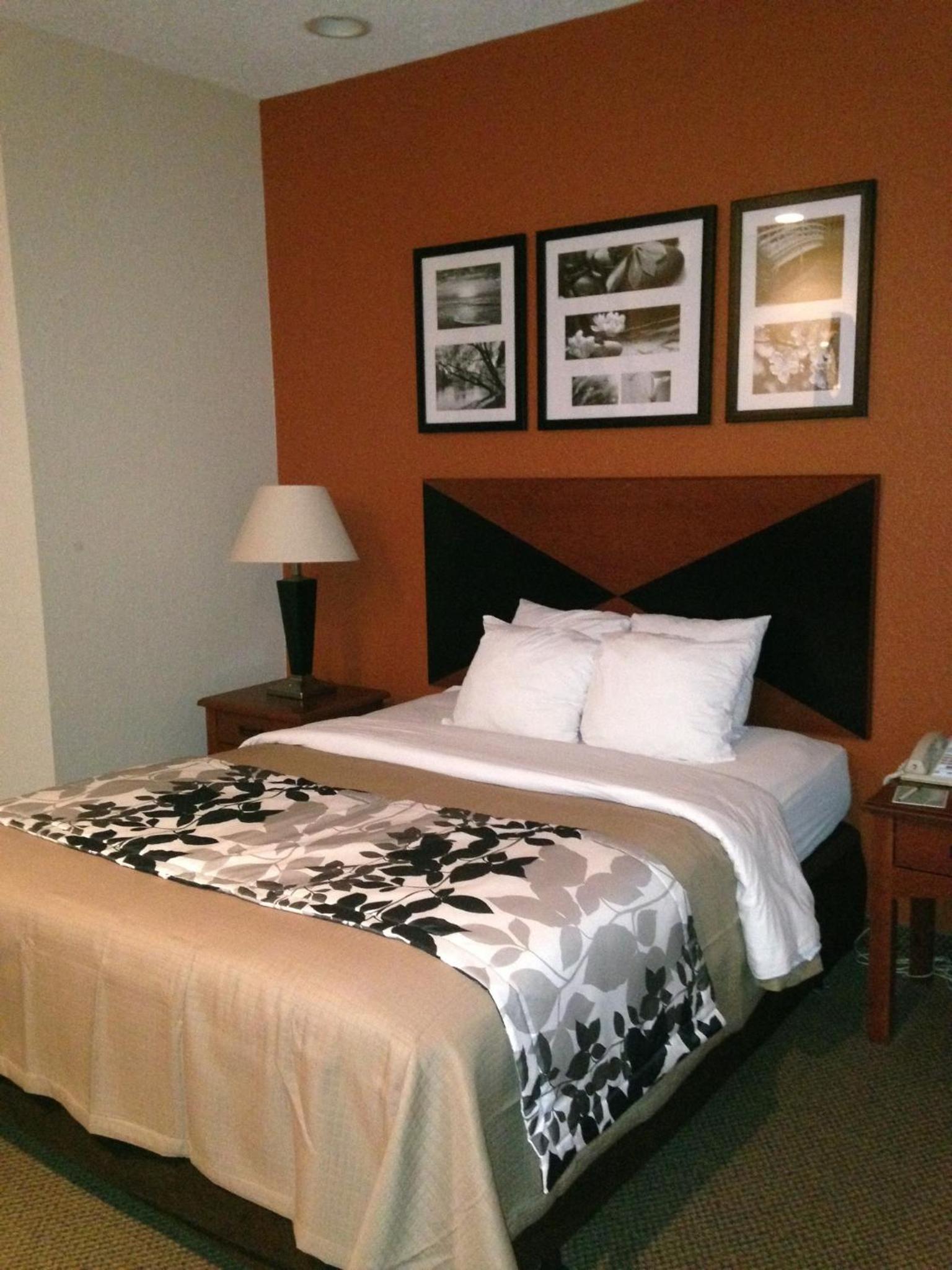 King Room - Non-Smoking - Photo 1