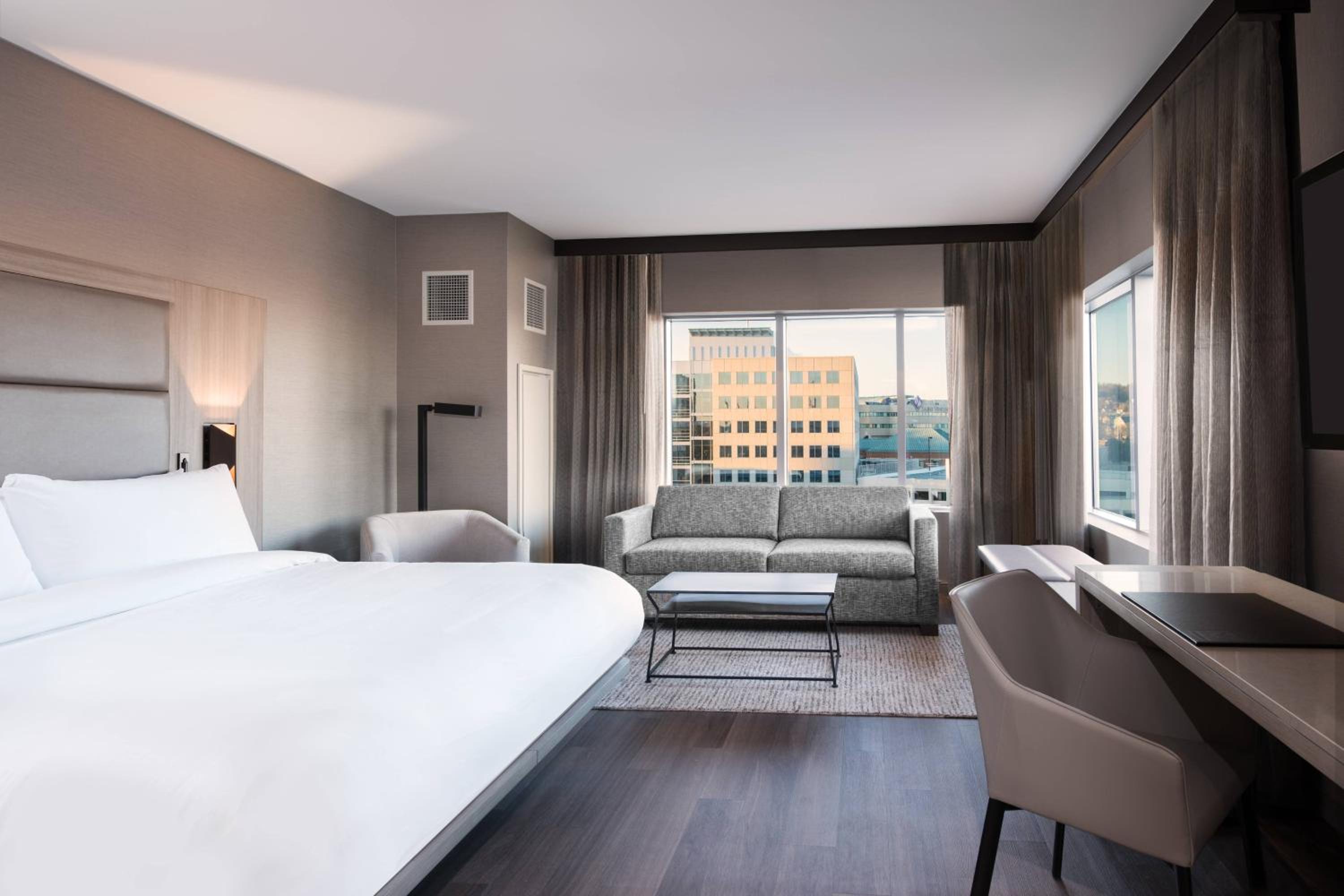 King Room with City View and Sofa Bed