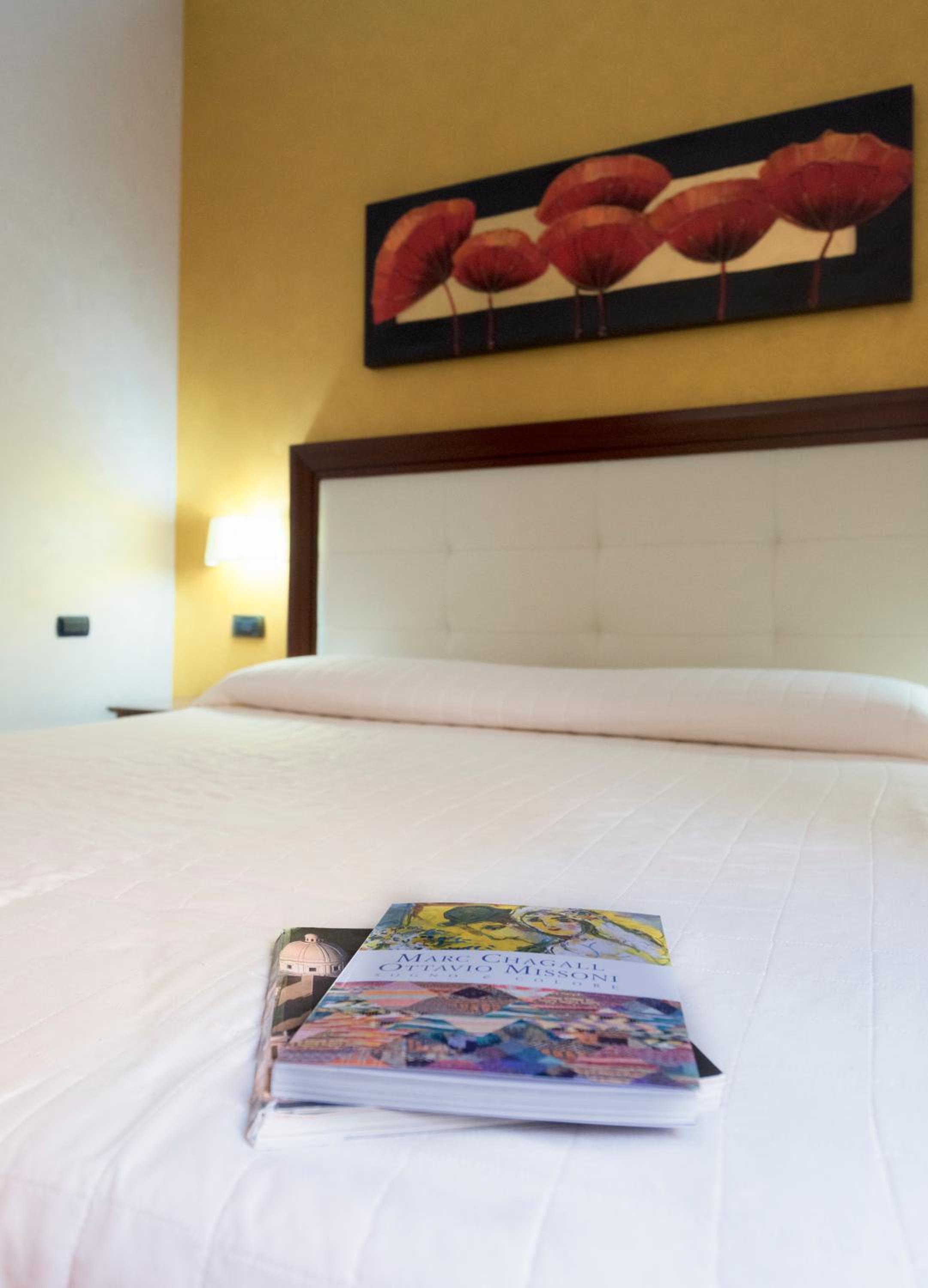Superior Double or Twin Room - Photo 1
