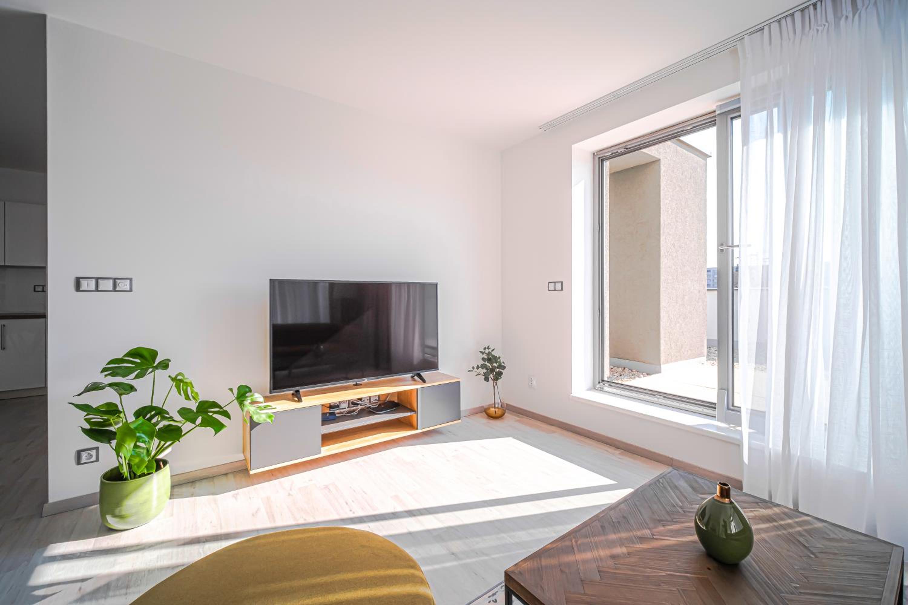 Apartment with Terrace photo 2