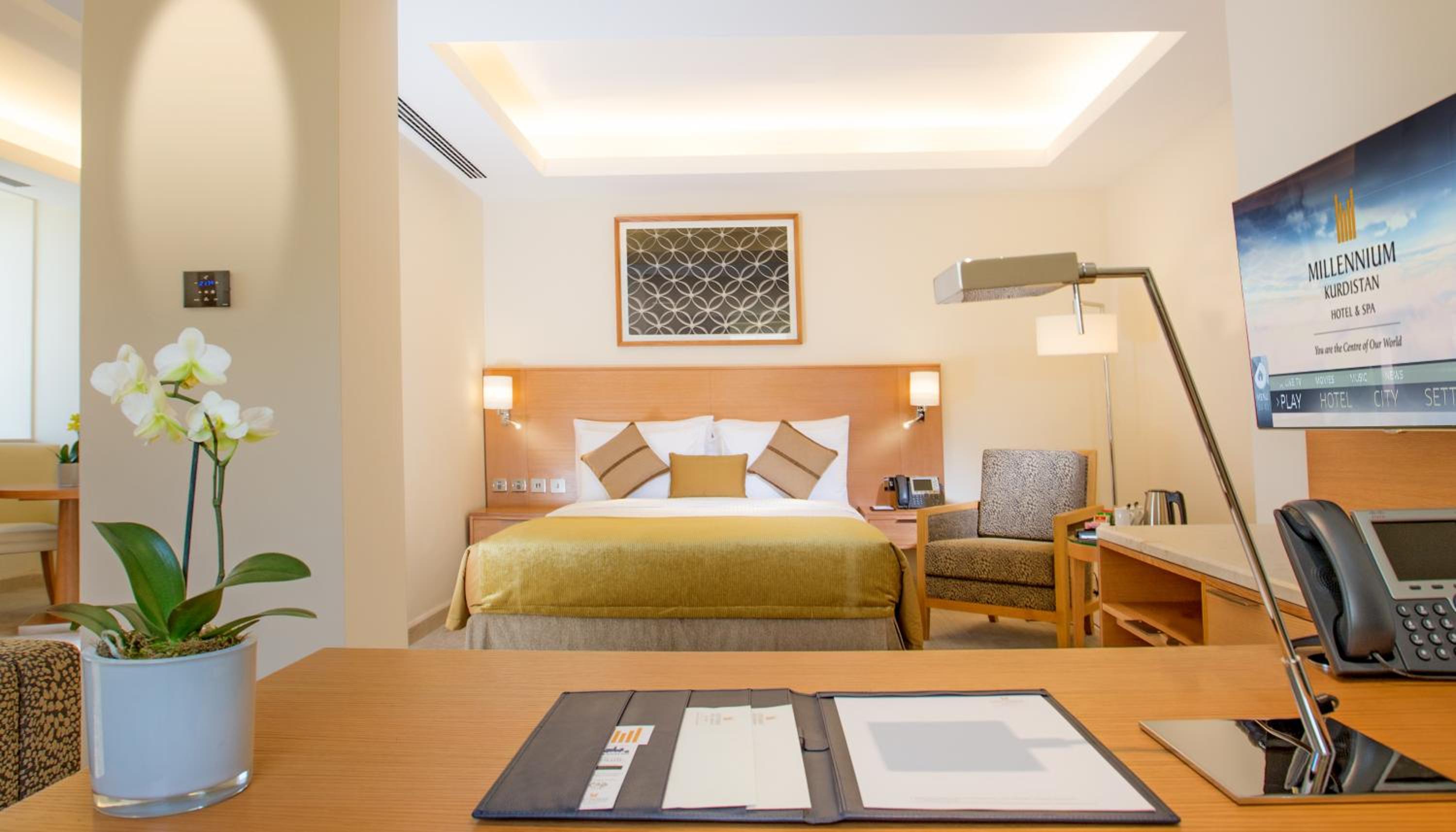 Junior Suite - Photo 1
