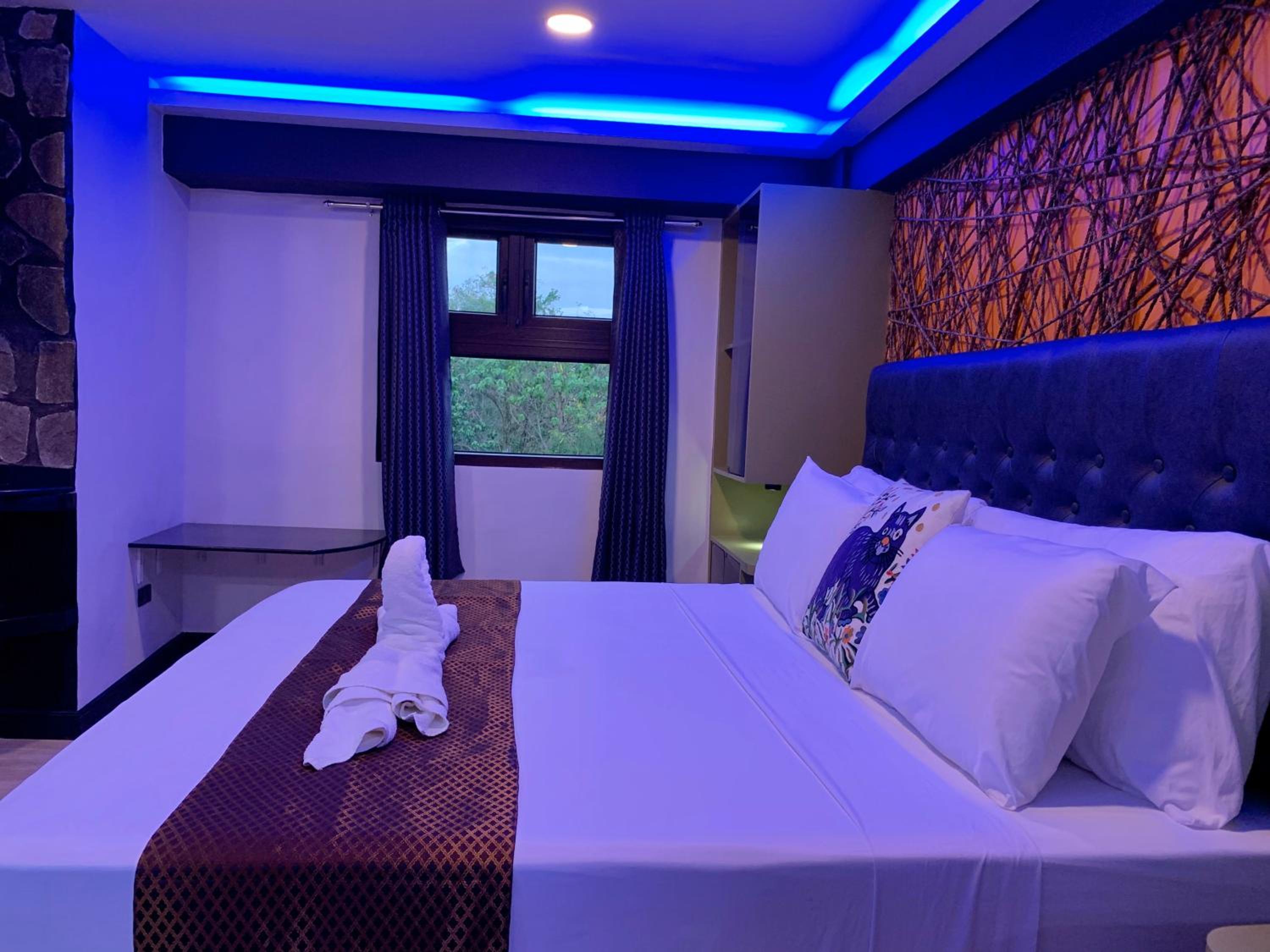 Standard Studio Suite - Photo 20