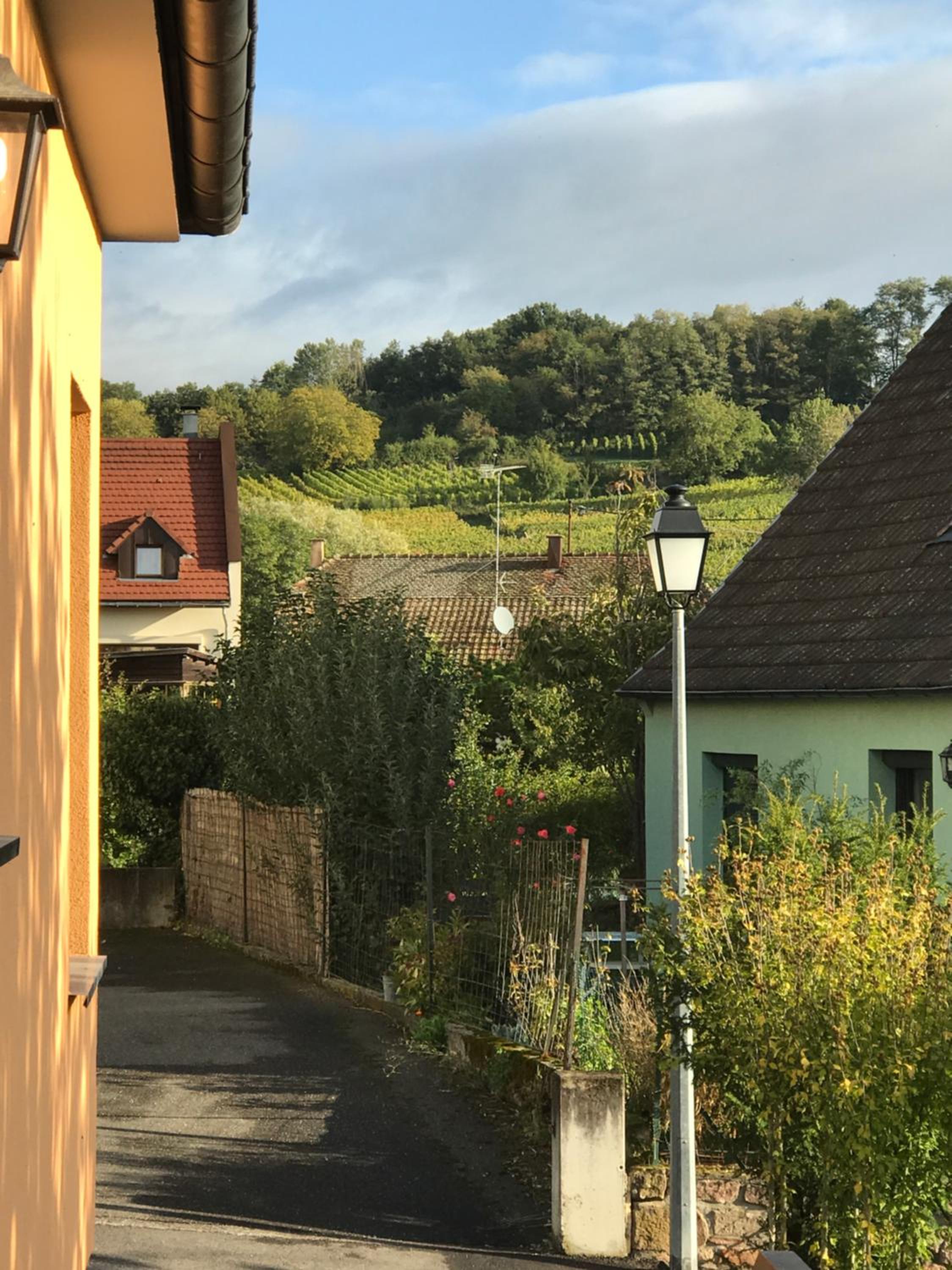 Double Room with Mountain View