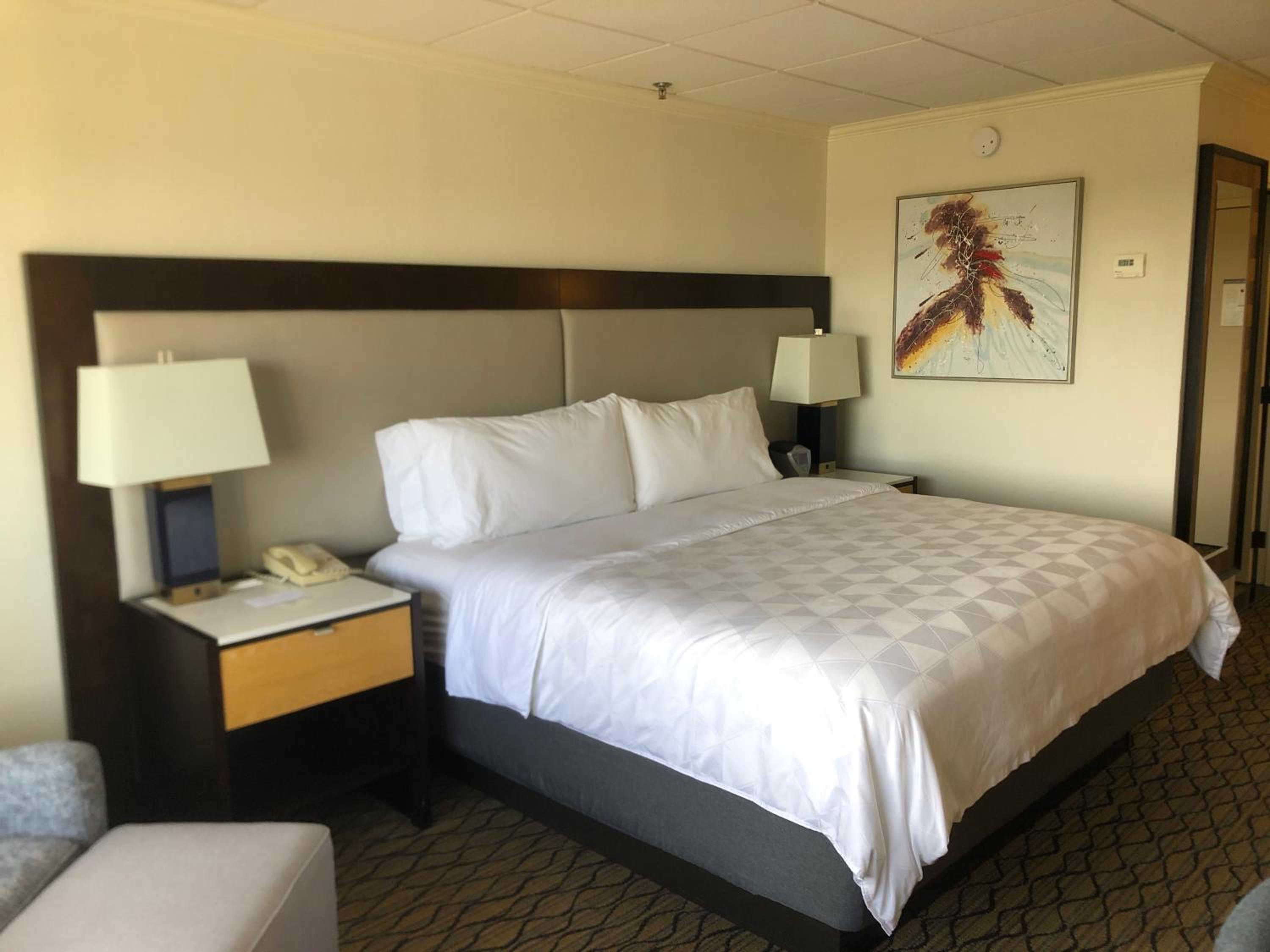 Standard King Room with Roll-In Shower - Communications Access - Photo 1