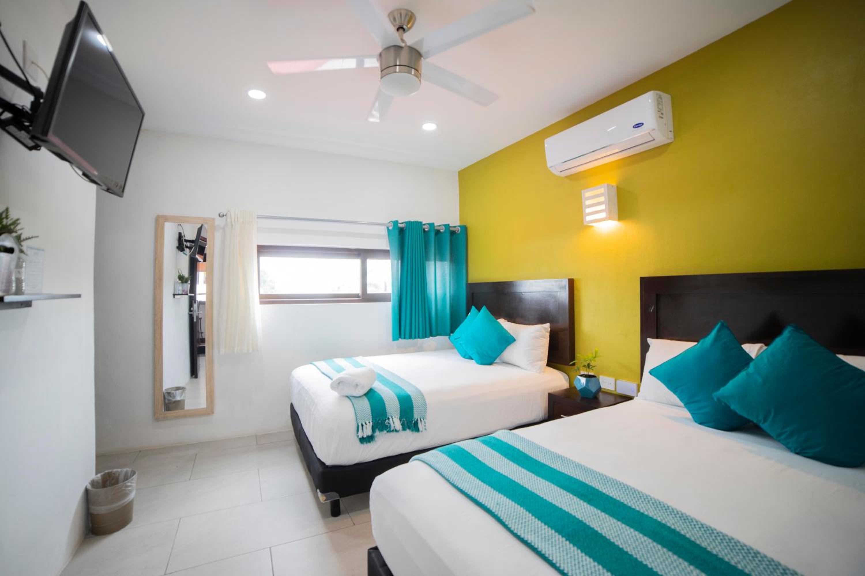 Standard Twin Room photo 2