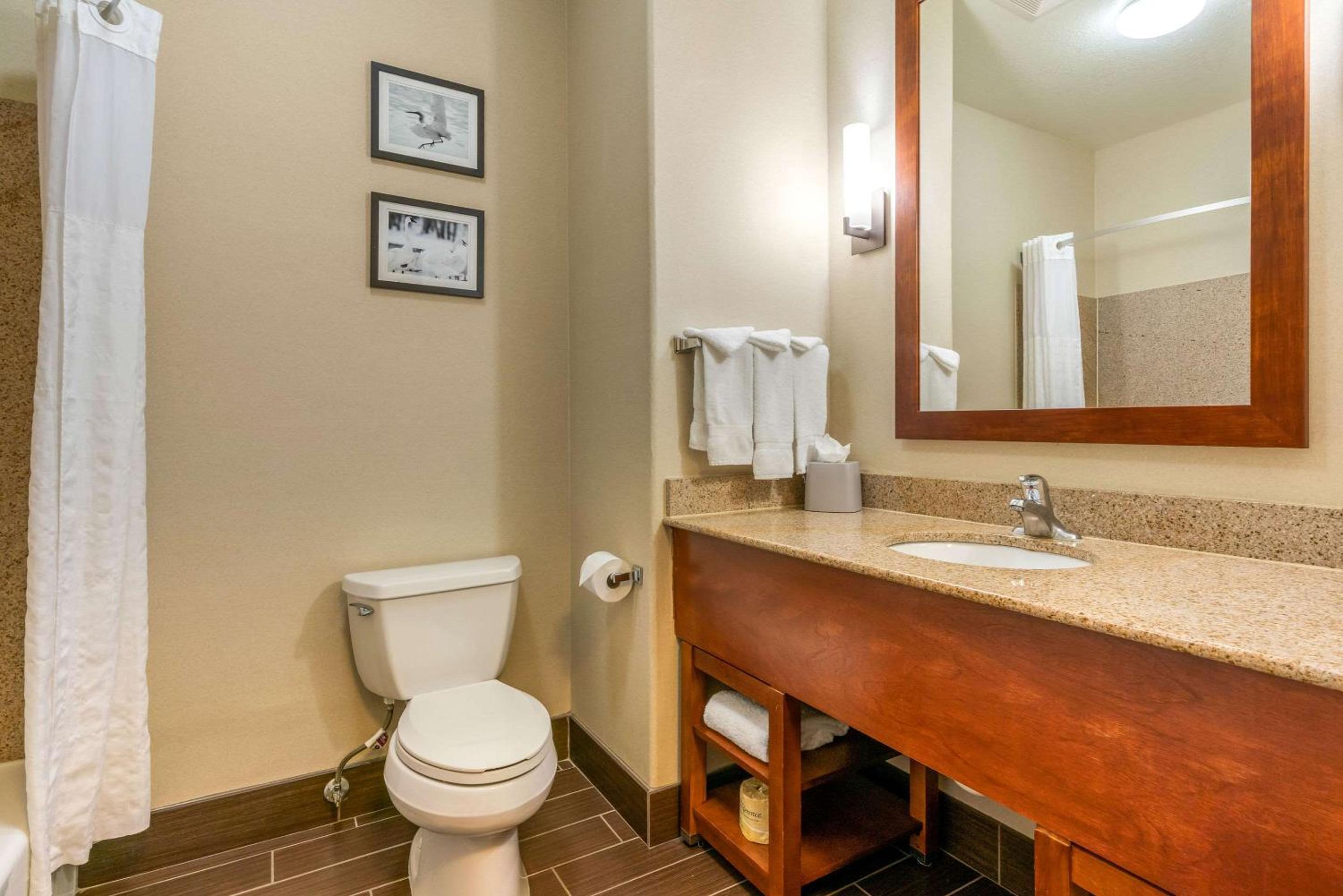 King Suite - Non-Smoking - Photo 5