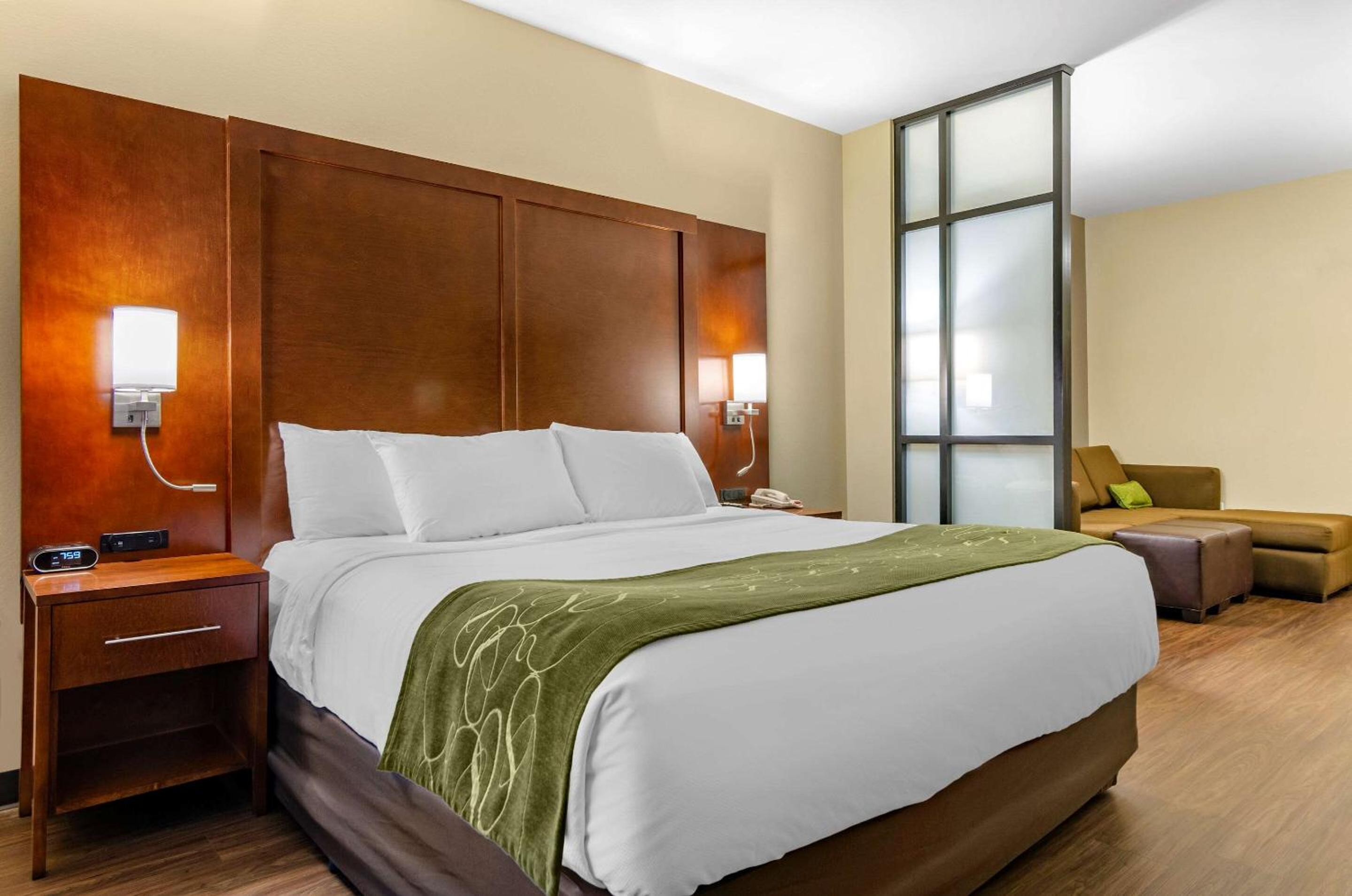 Standard King Suite with Sofa-Bed and Bathtub - Accessible/Non-Smoking - Photo 4